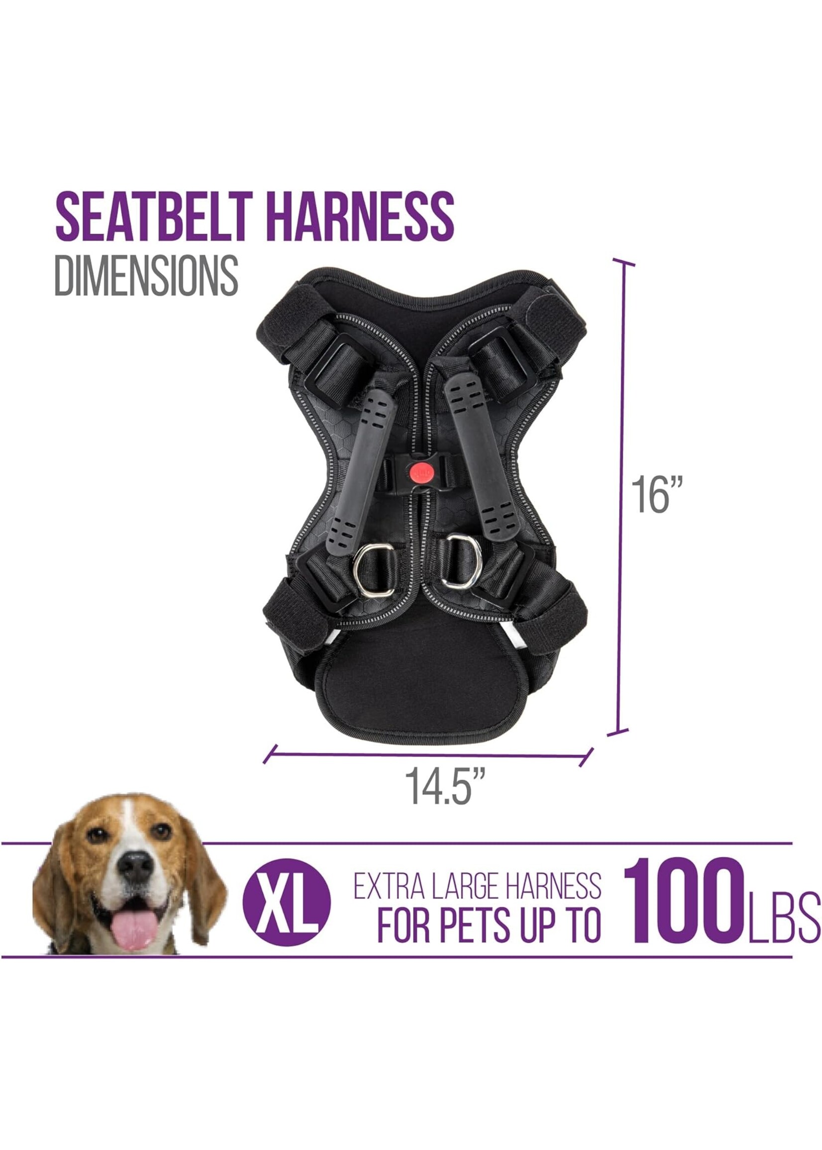Sherpa Crash Tested Seatbelt Harness Black