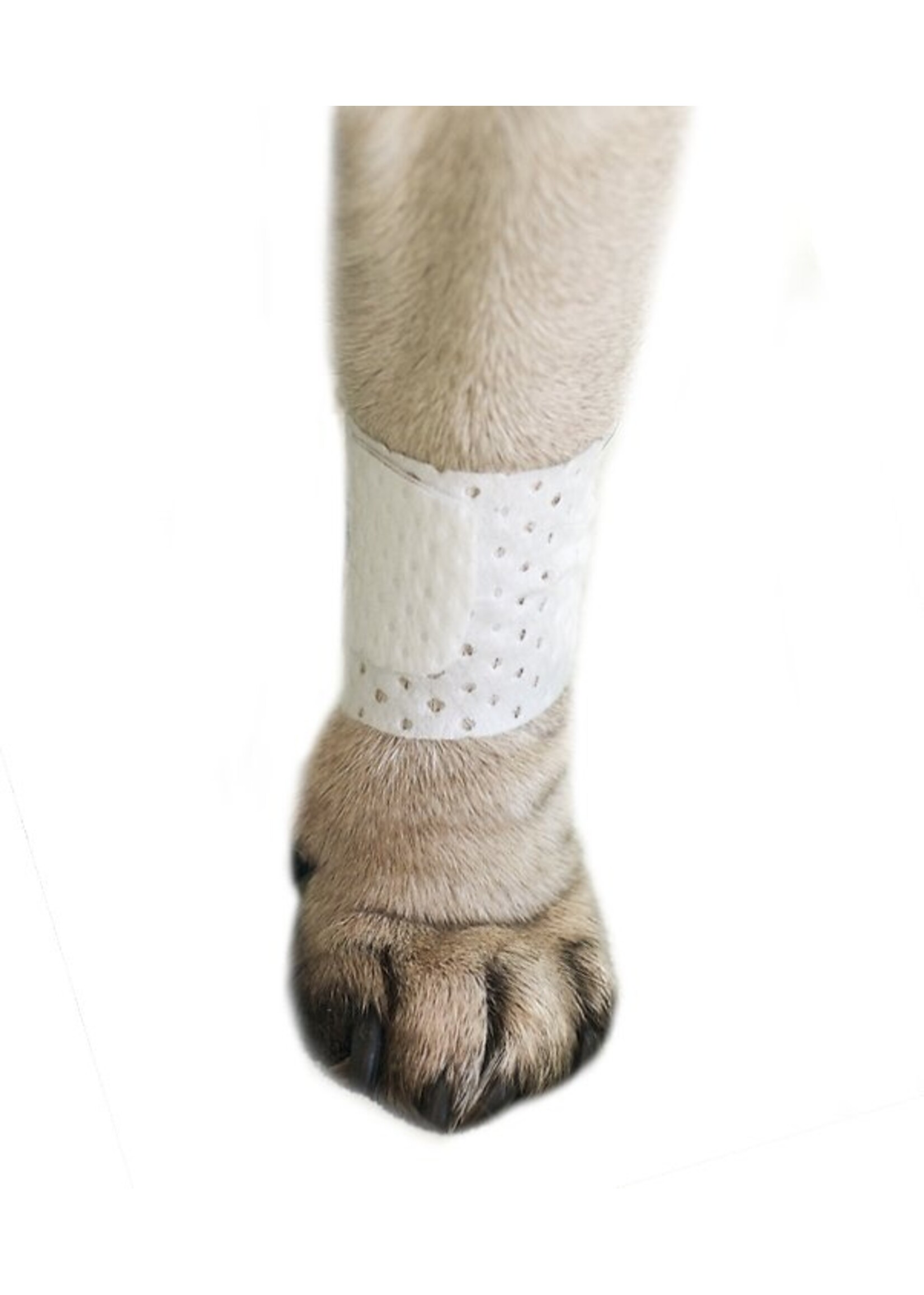 PawFlex Bandages Small