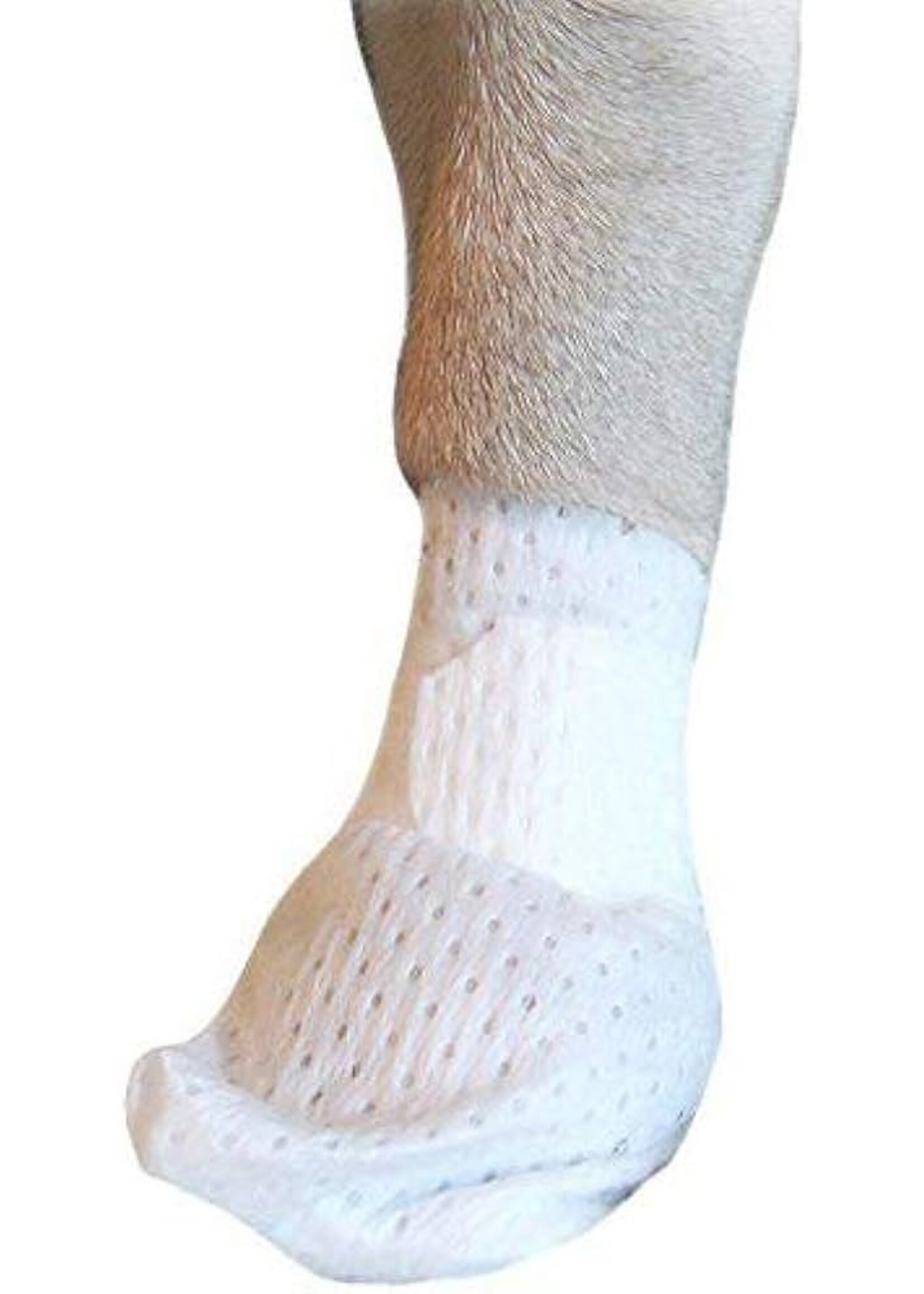 PawFlex Bandages Small