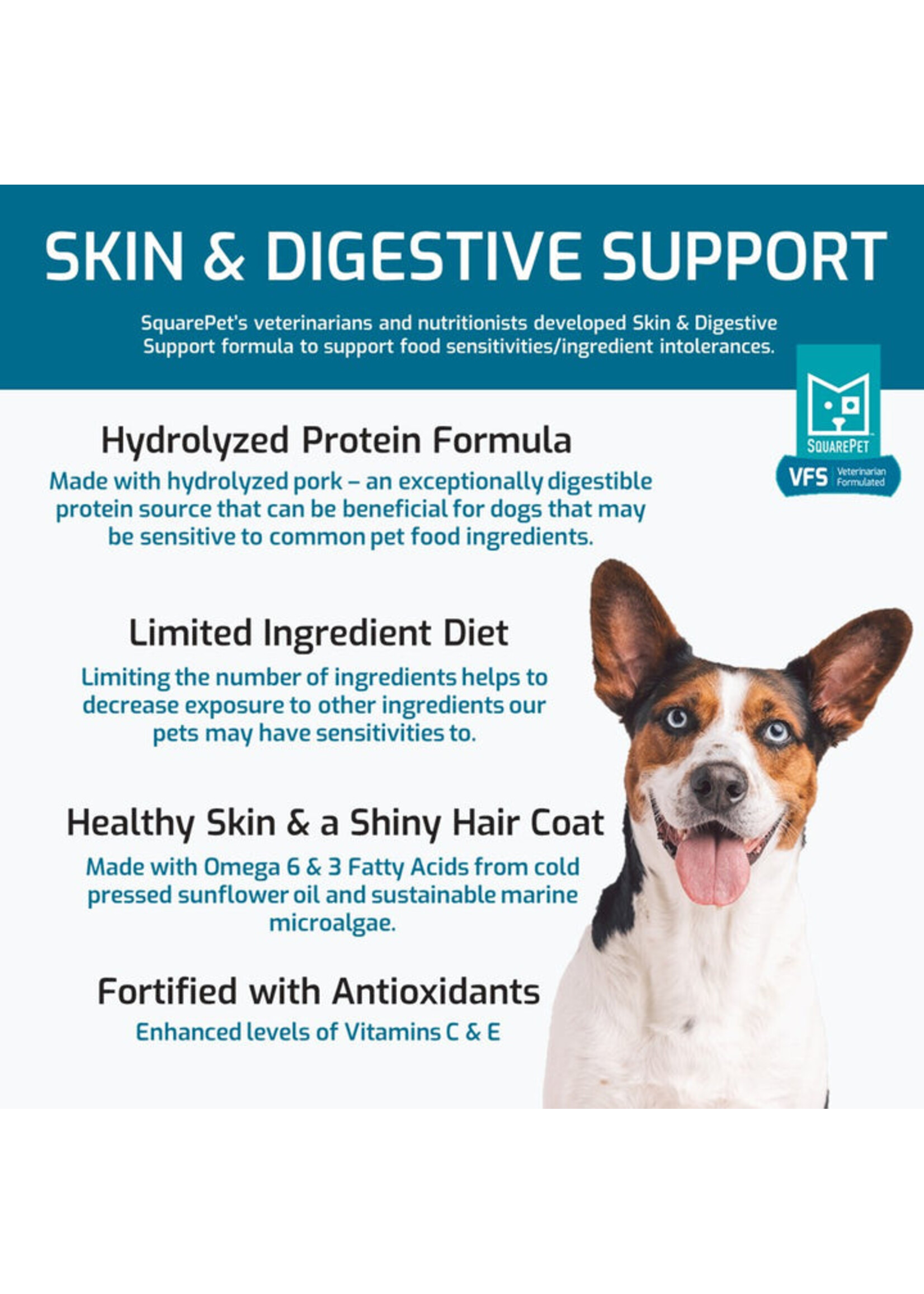 SquarePet SquarePet Dog VFS Skin & Digestive Pork