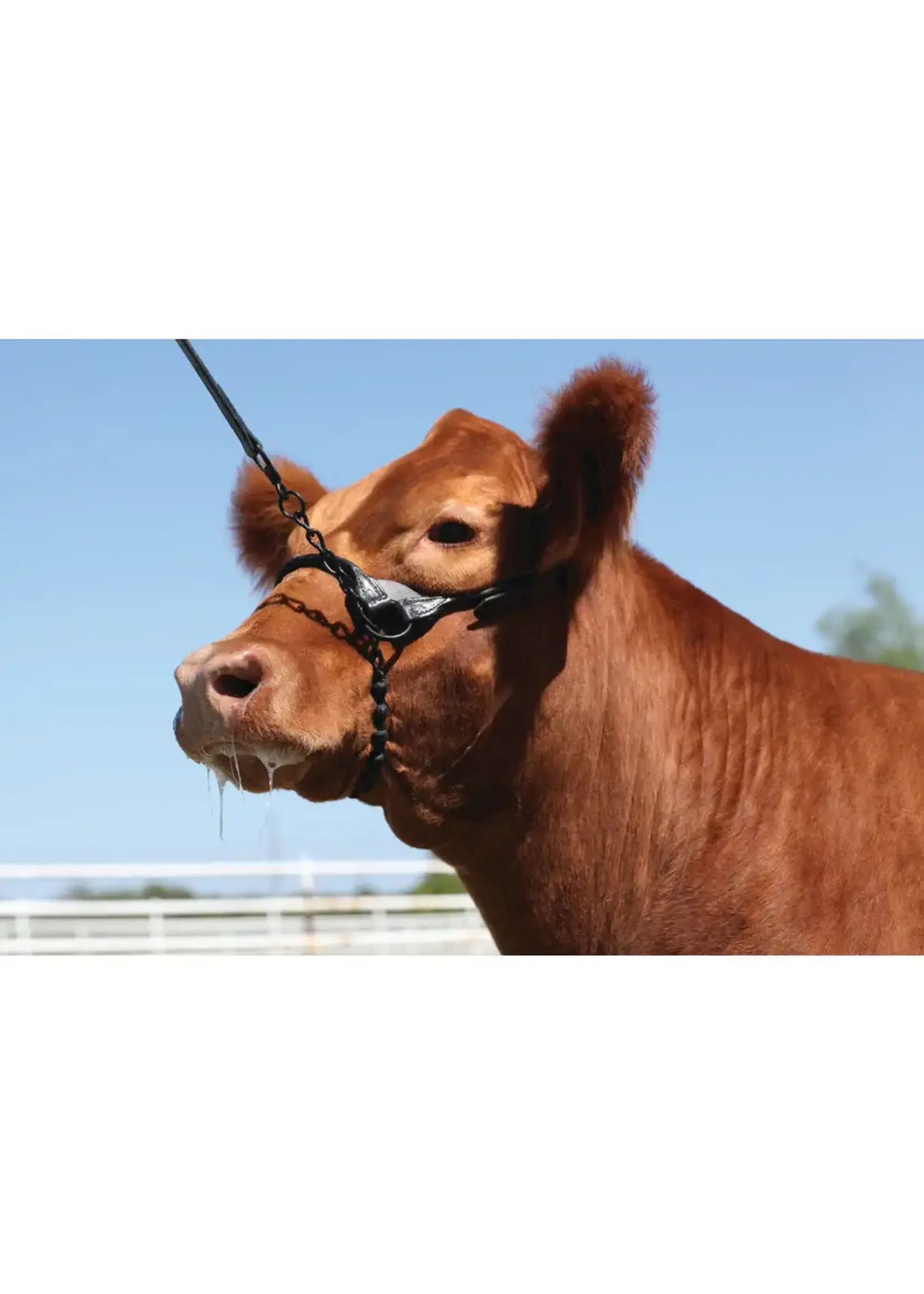 Weaver Livestock Weaver Livestock 1" Braid Rawhide Chain Lead Black