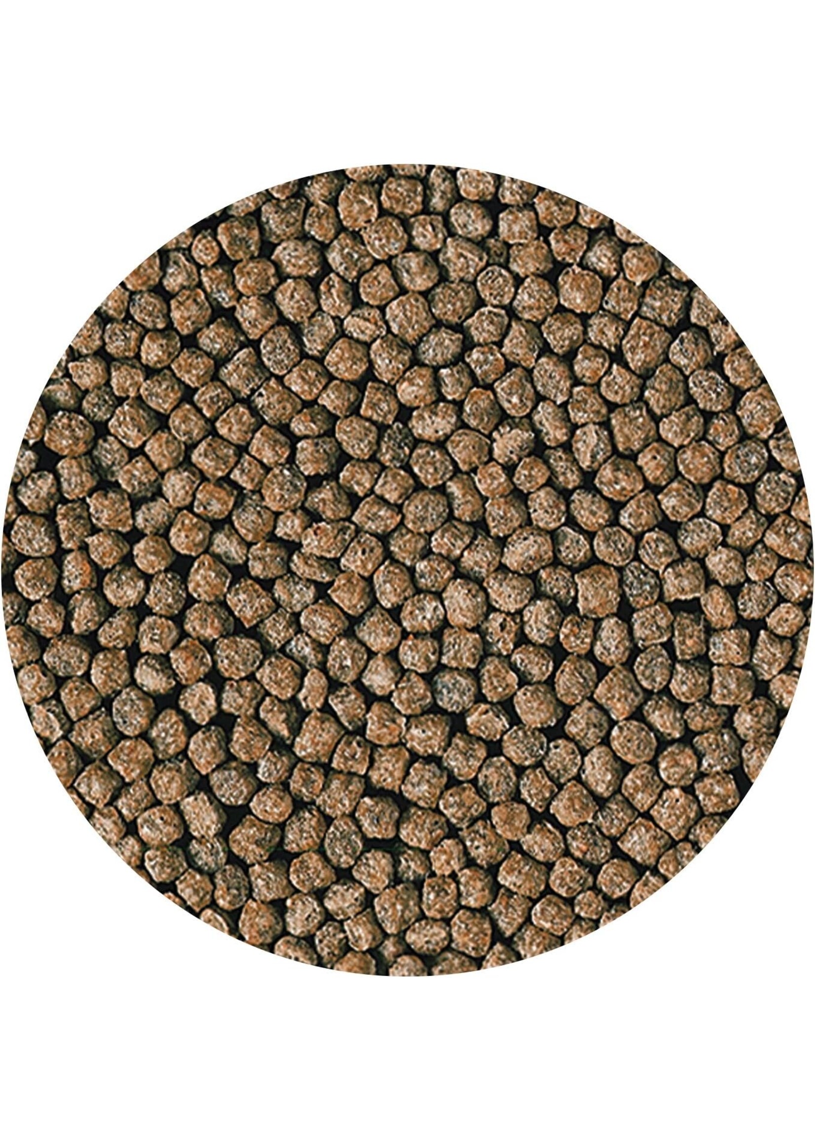 Hikari Hikari Goldfish Staple Baby Pellets 3.5oz