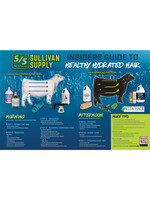 Sullivan Supply Sullivan Supply Daily Routine Poster - Folded