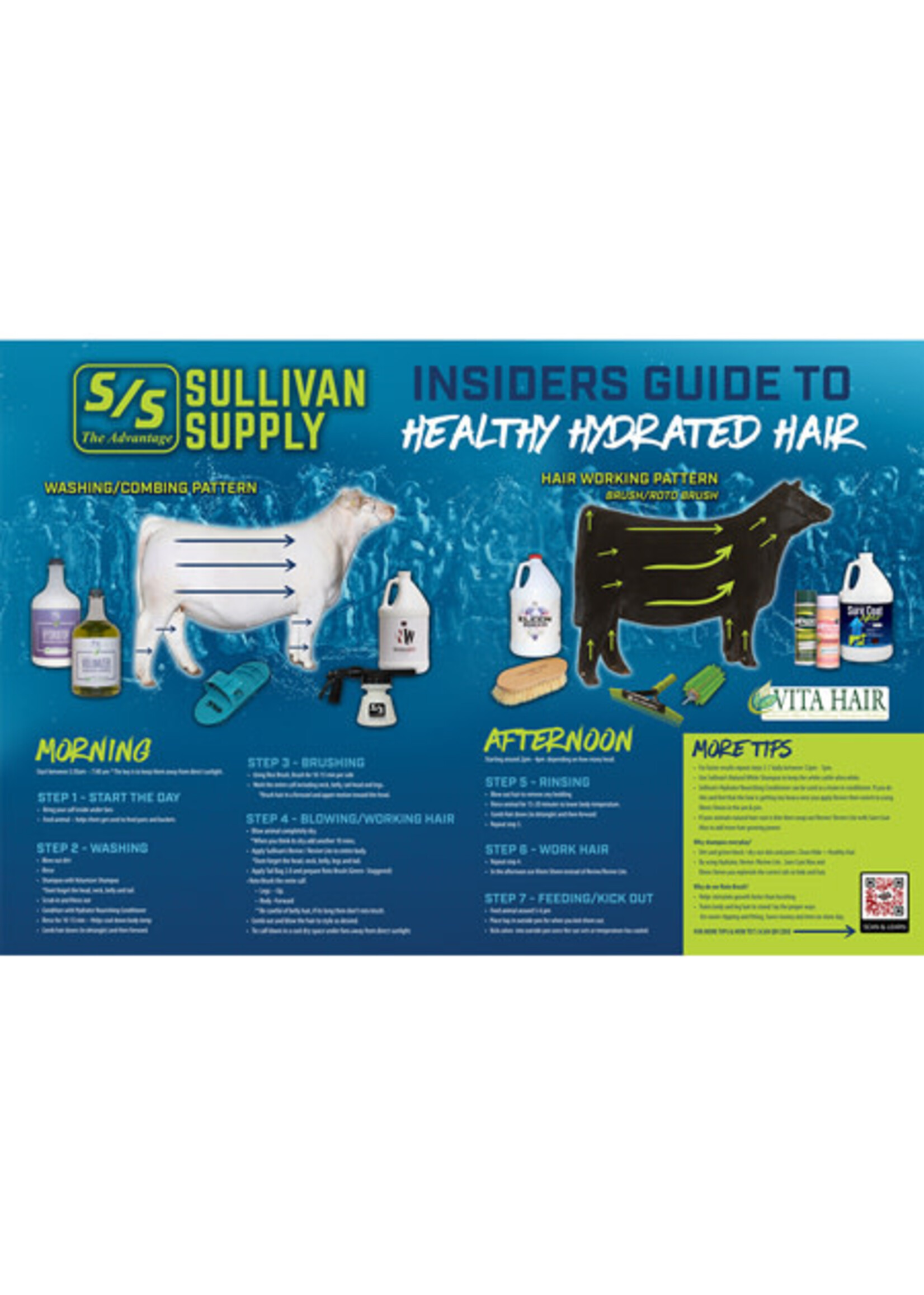 Sullivan Supply Sullivan Supply Daily Routine Poster - Folded