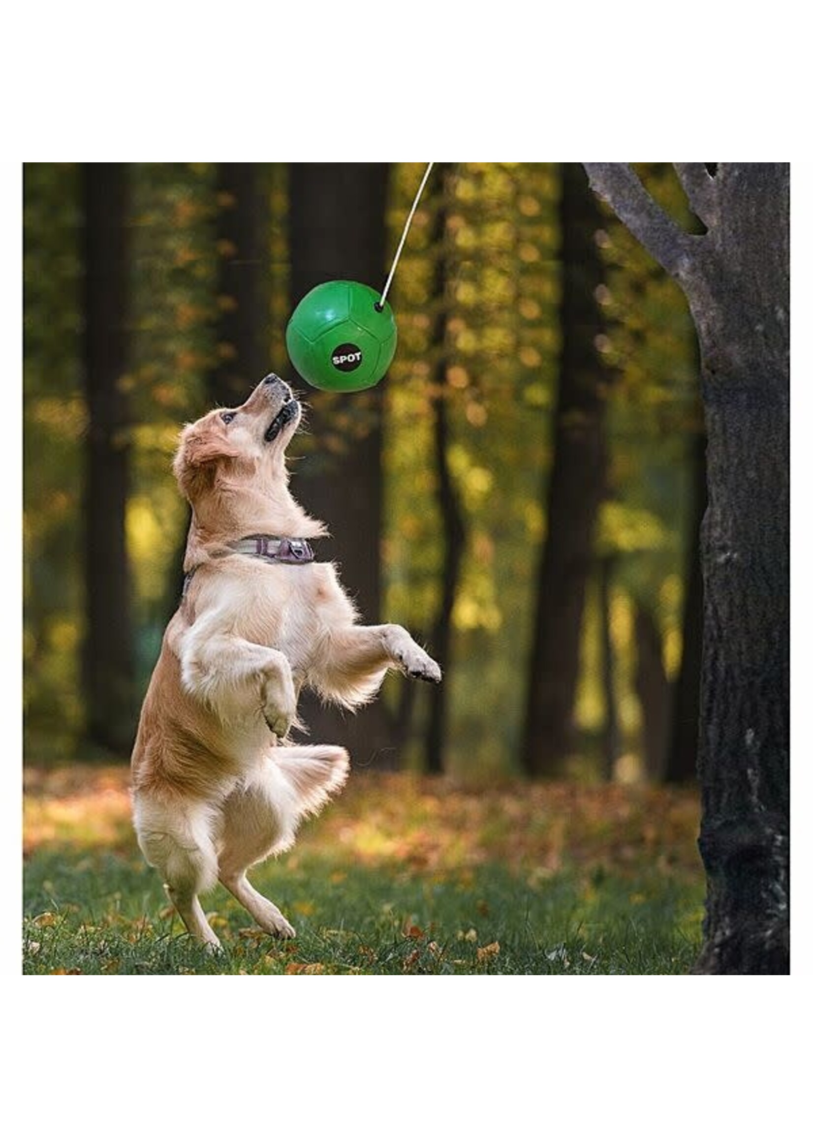 Ethical Ethical Tether Ball w/ Rope