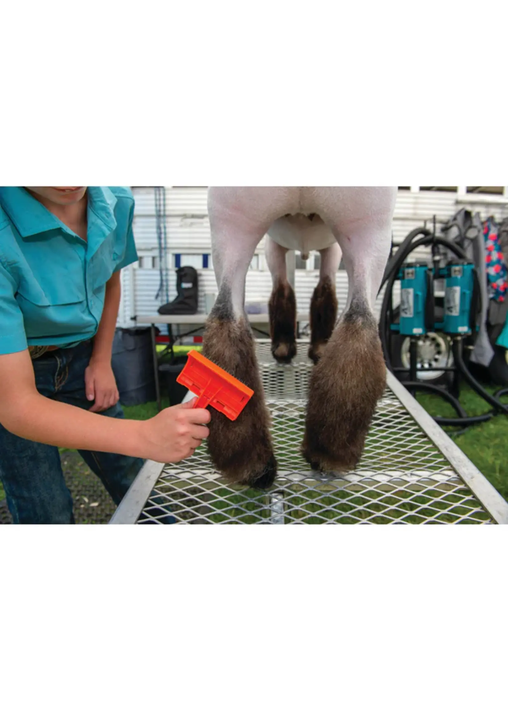 Weaver Livestock Weaver Livestock Slicker Brush