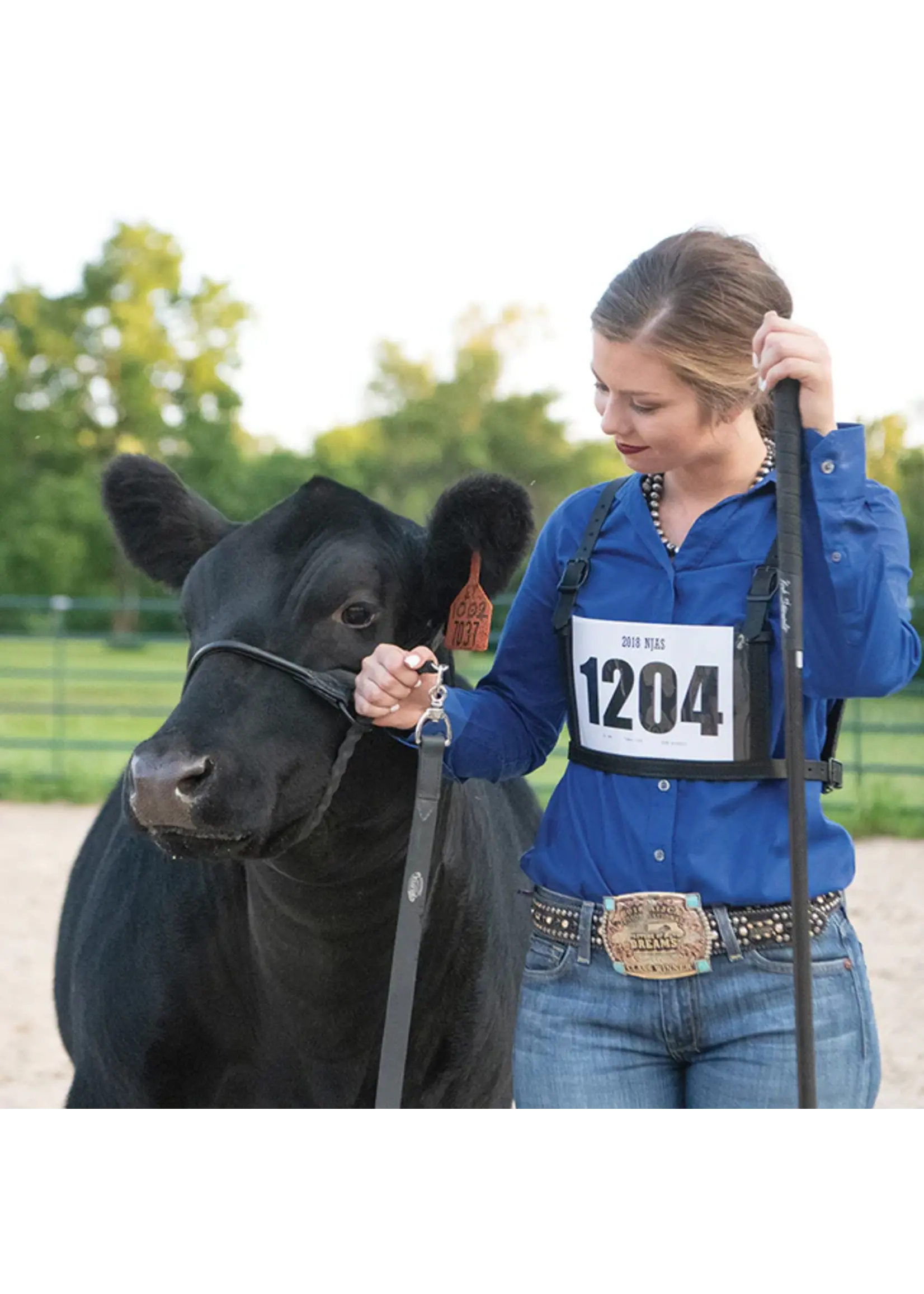 Weaver Livestock Weaver Livestock Black Magic Show Halter Black