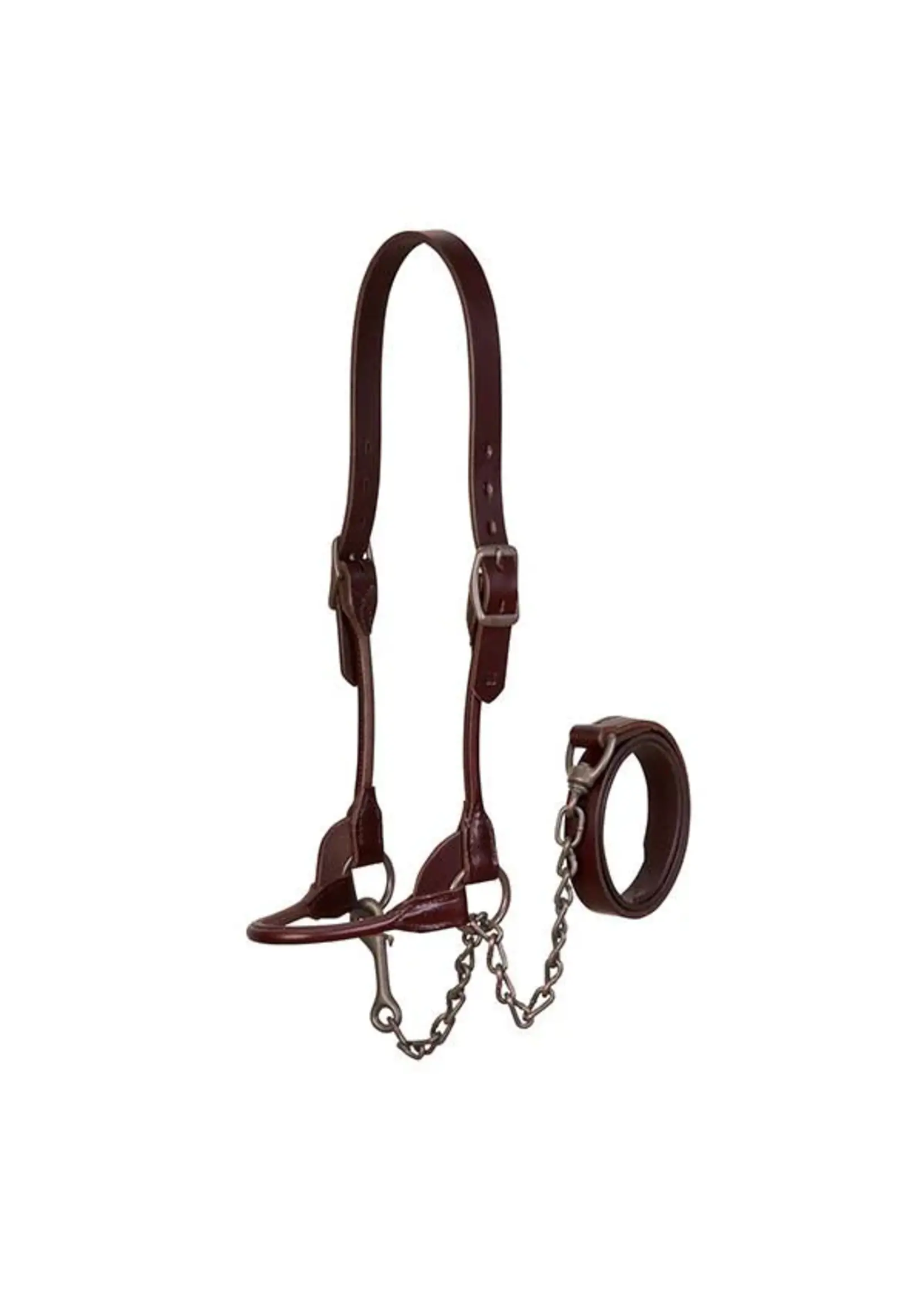 Weaver Livestock Weaver Livestock Brown Bombshell Show Halter