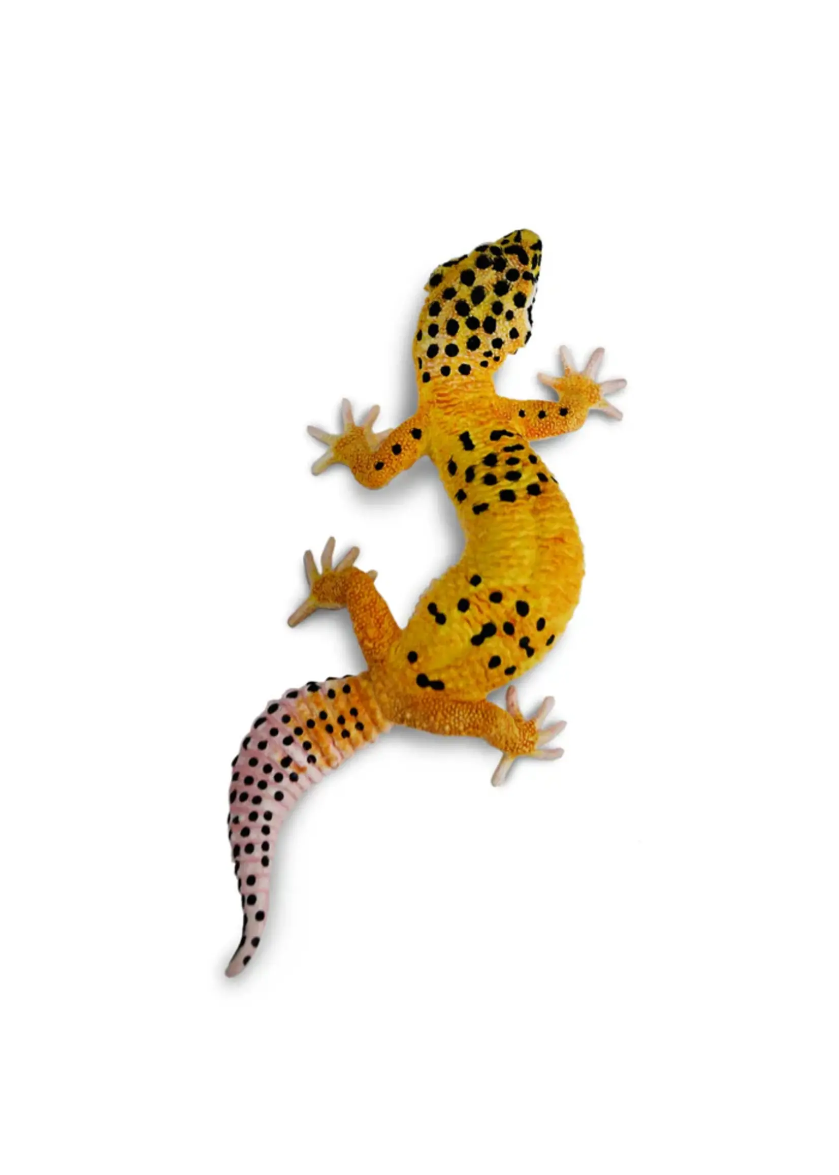 Safari Reptile Leopard Gecko Toy