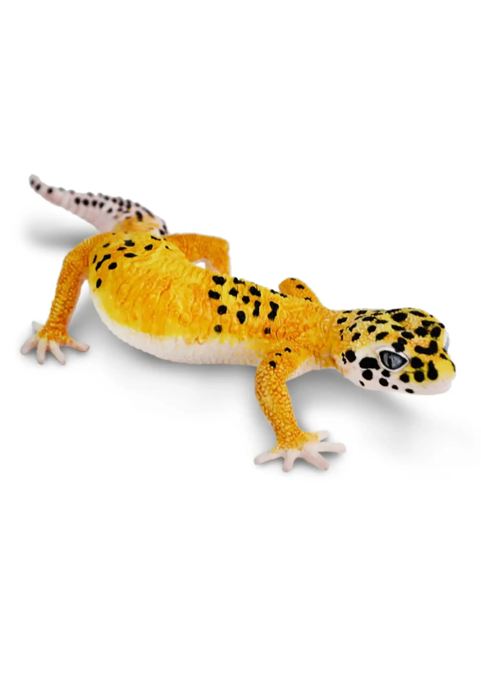 Safari Reptile Leopard Gecko Toy
