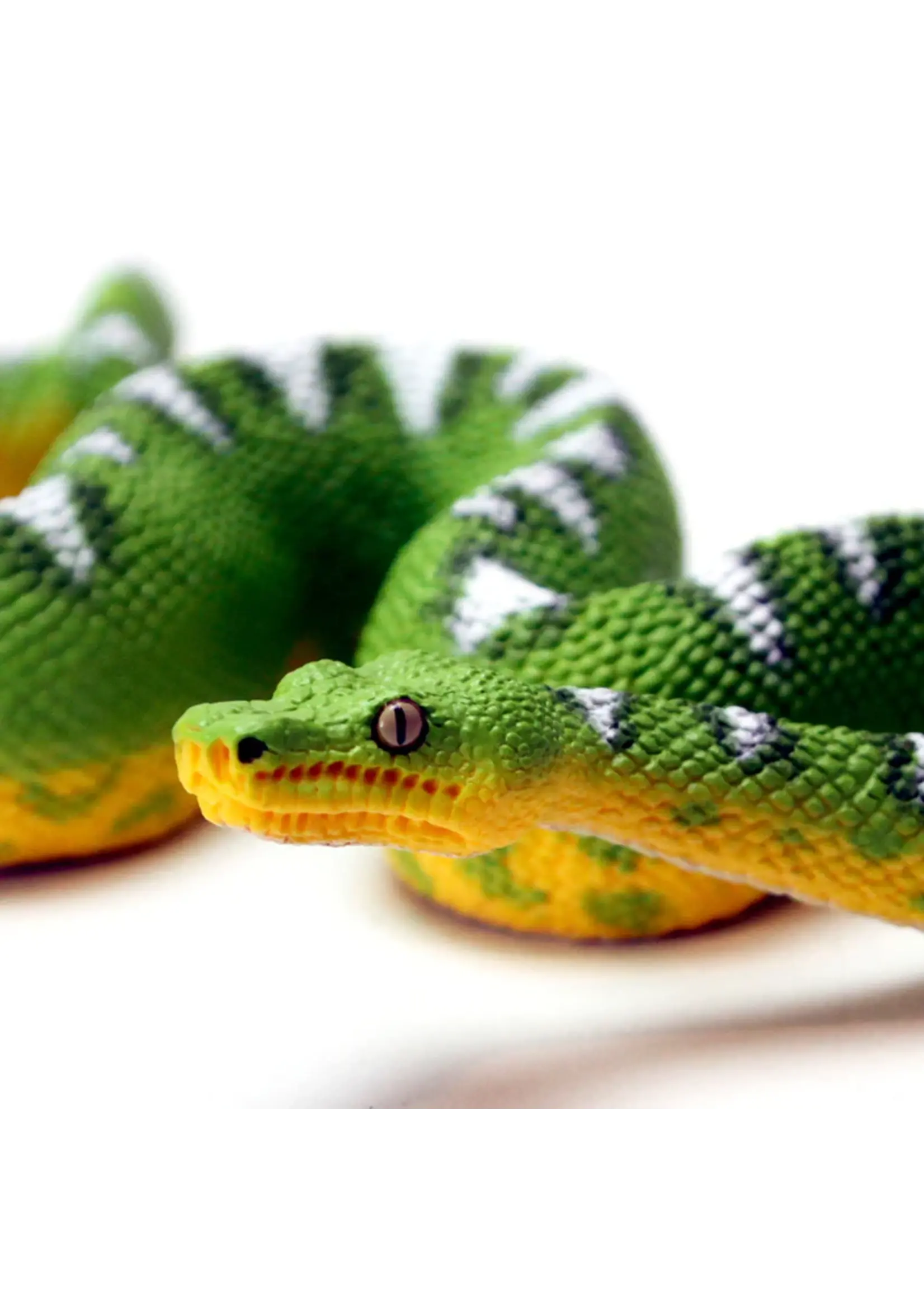 Safari Snake Emerald Tree Boa Toy