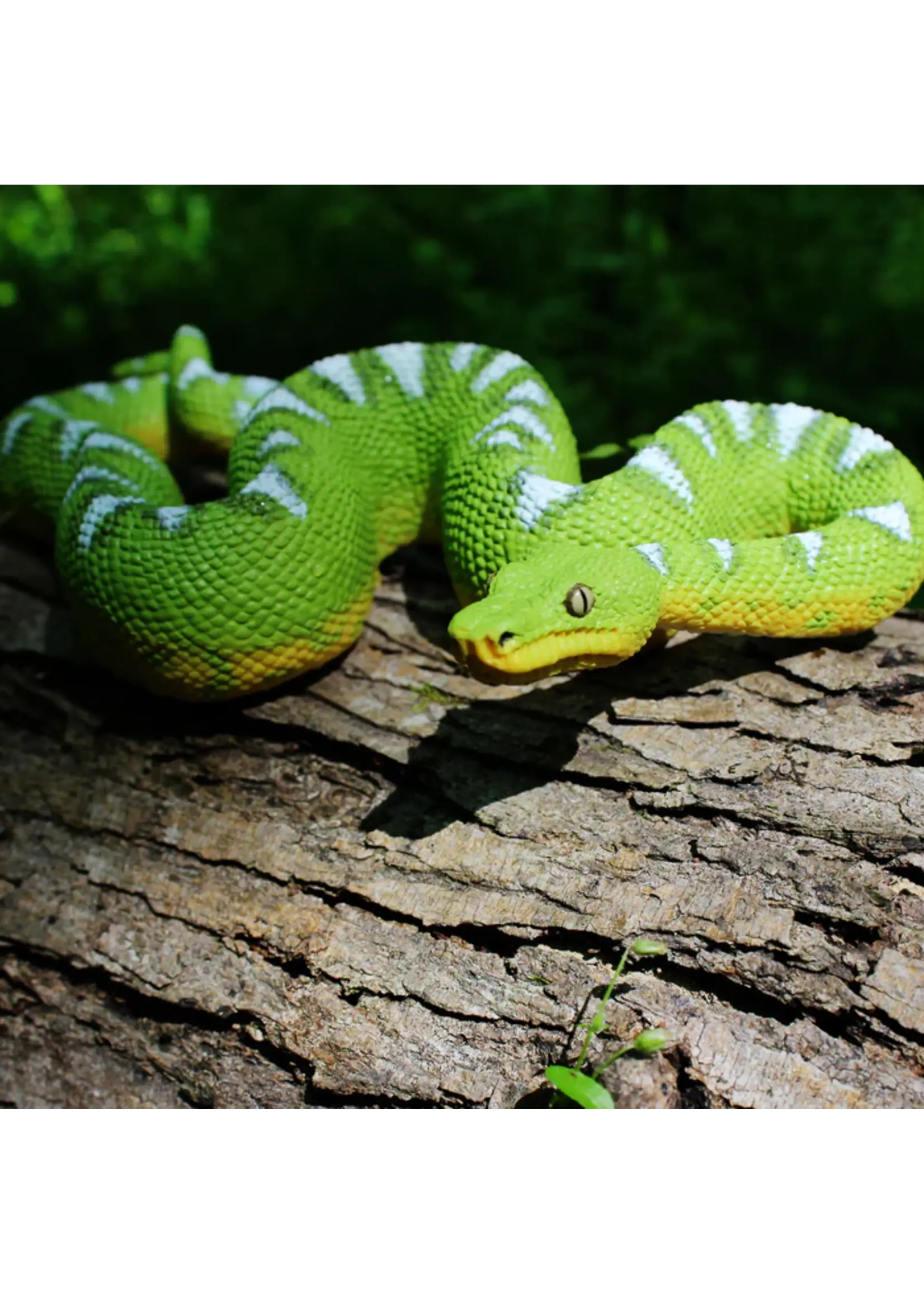 Safari Snake Emerald Tree Boa Toy