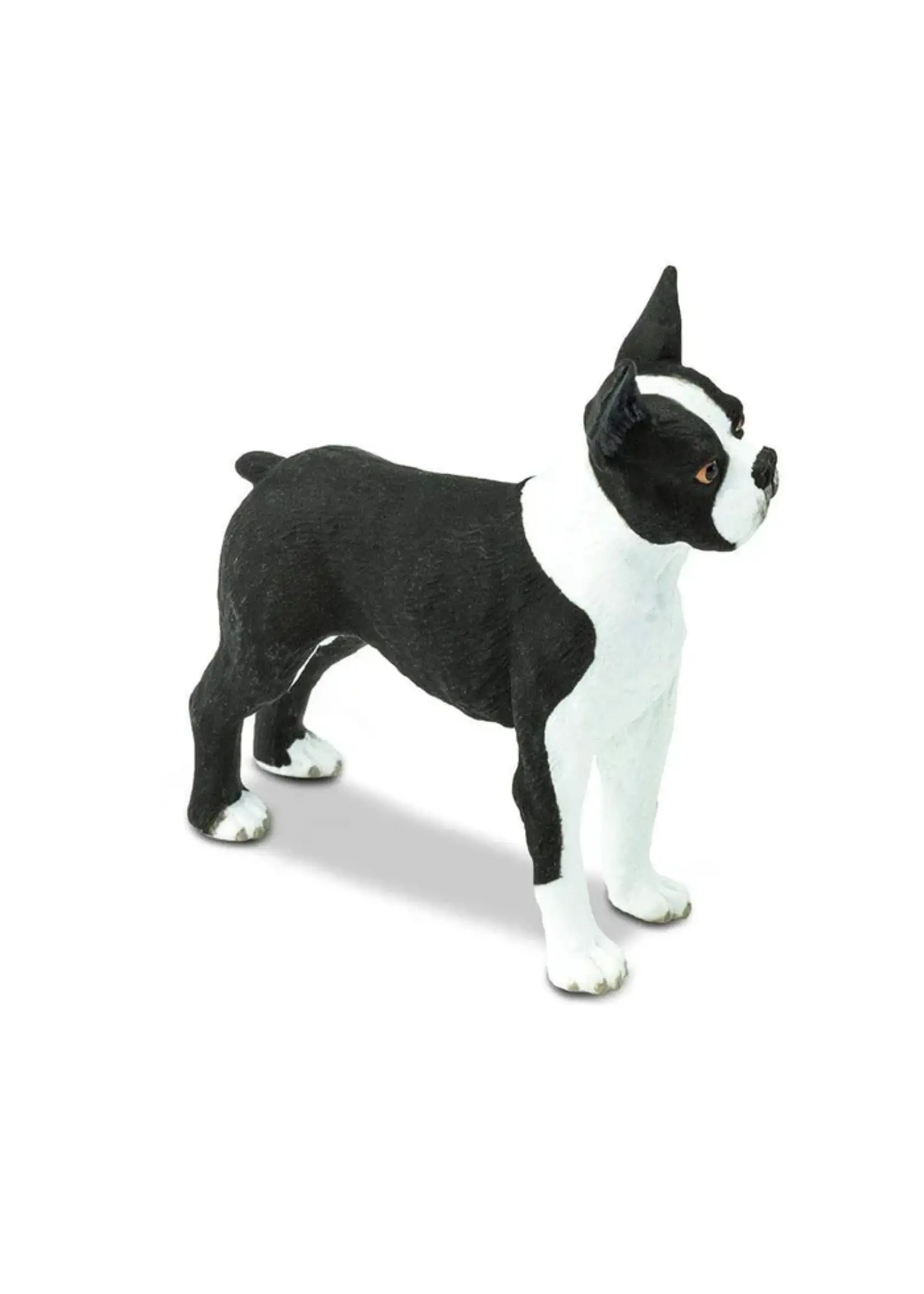 Safari Dog Boston Terrier Toy