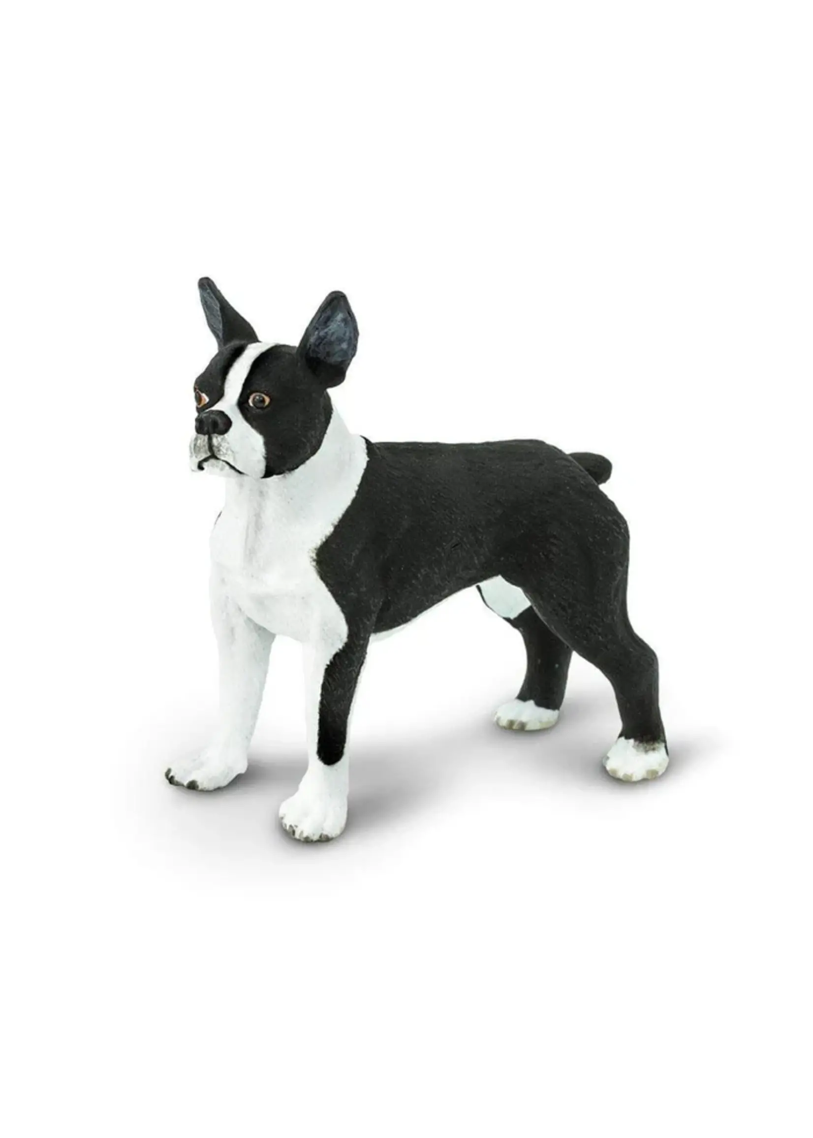 Safari Dog Boston Terrier Toy