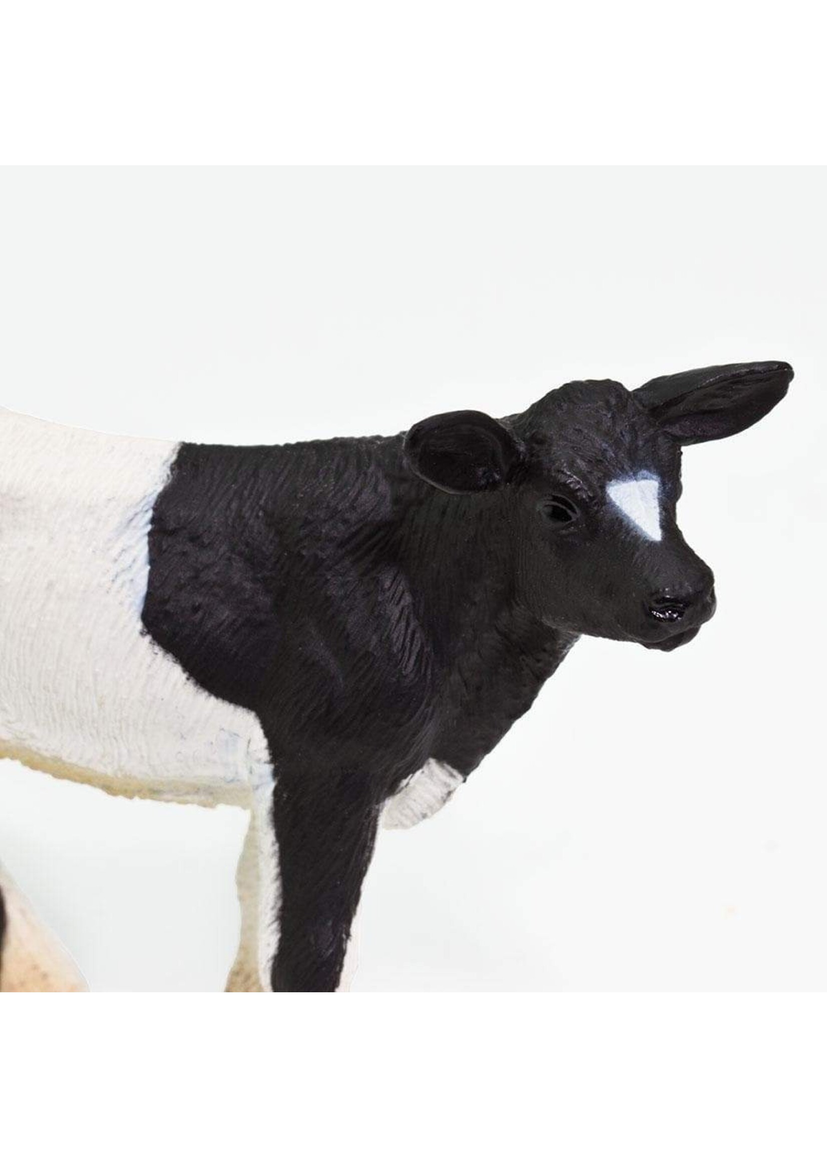 Safari Farm Holstein Calf