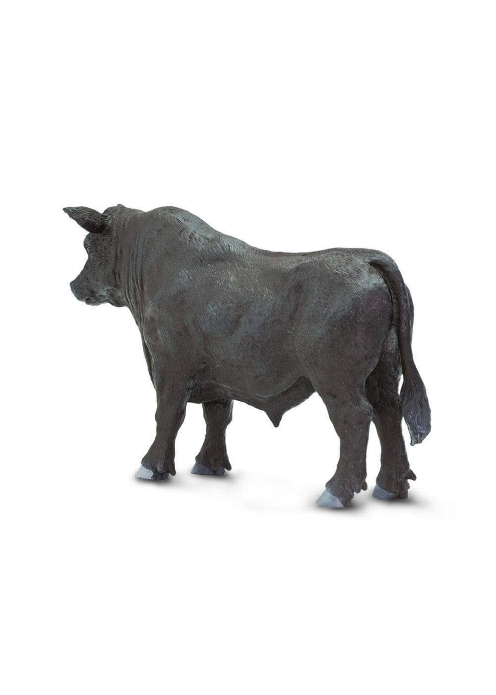Safari Farm Angus Bull