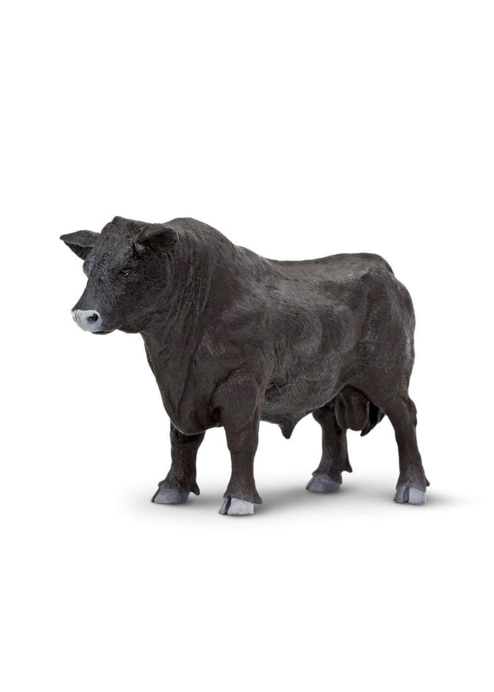 Safari Farm Angus Bull