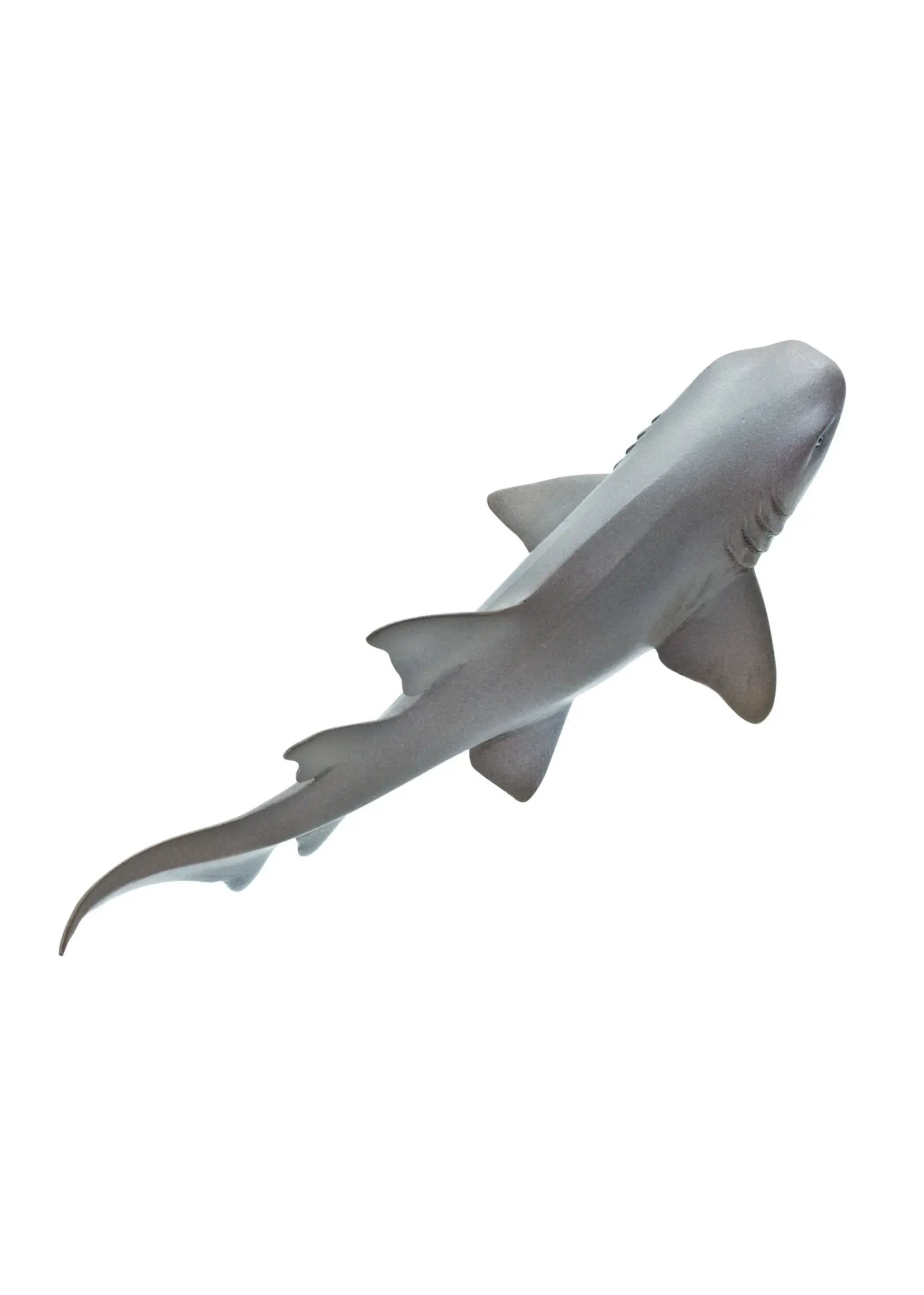Safari Ocean Nurse Shark Toy