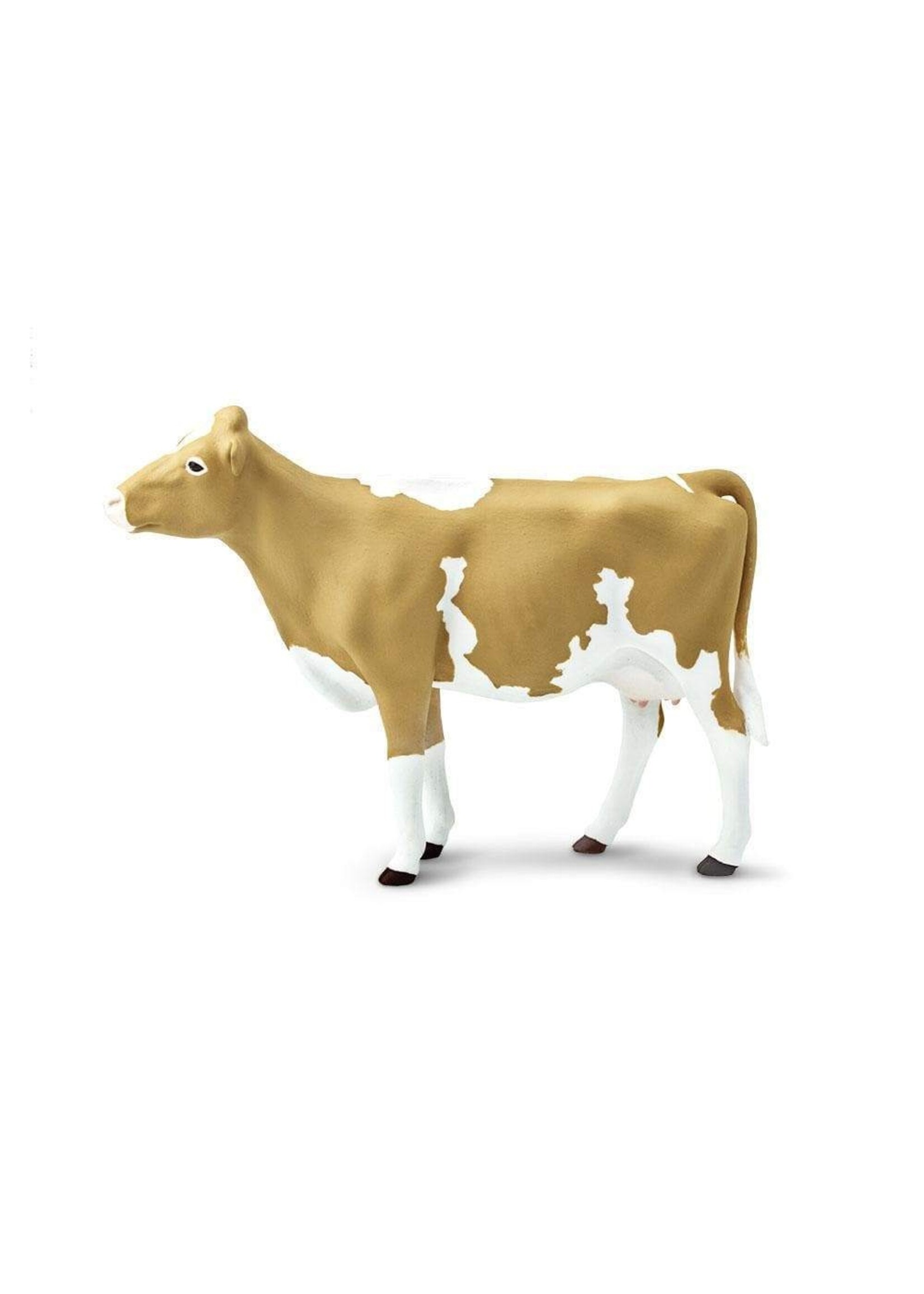 Safari Farm Guernsey Cow