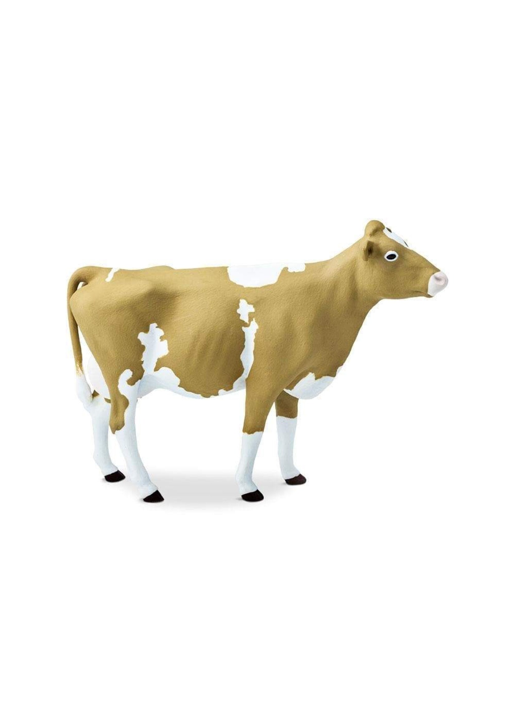 Safari Farm Guernsey Cow