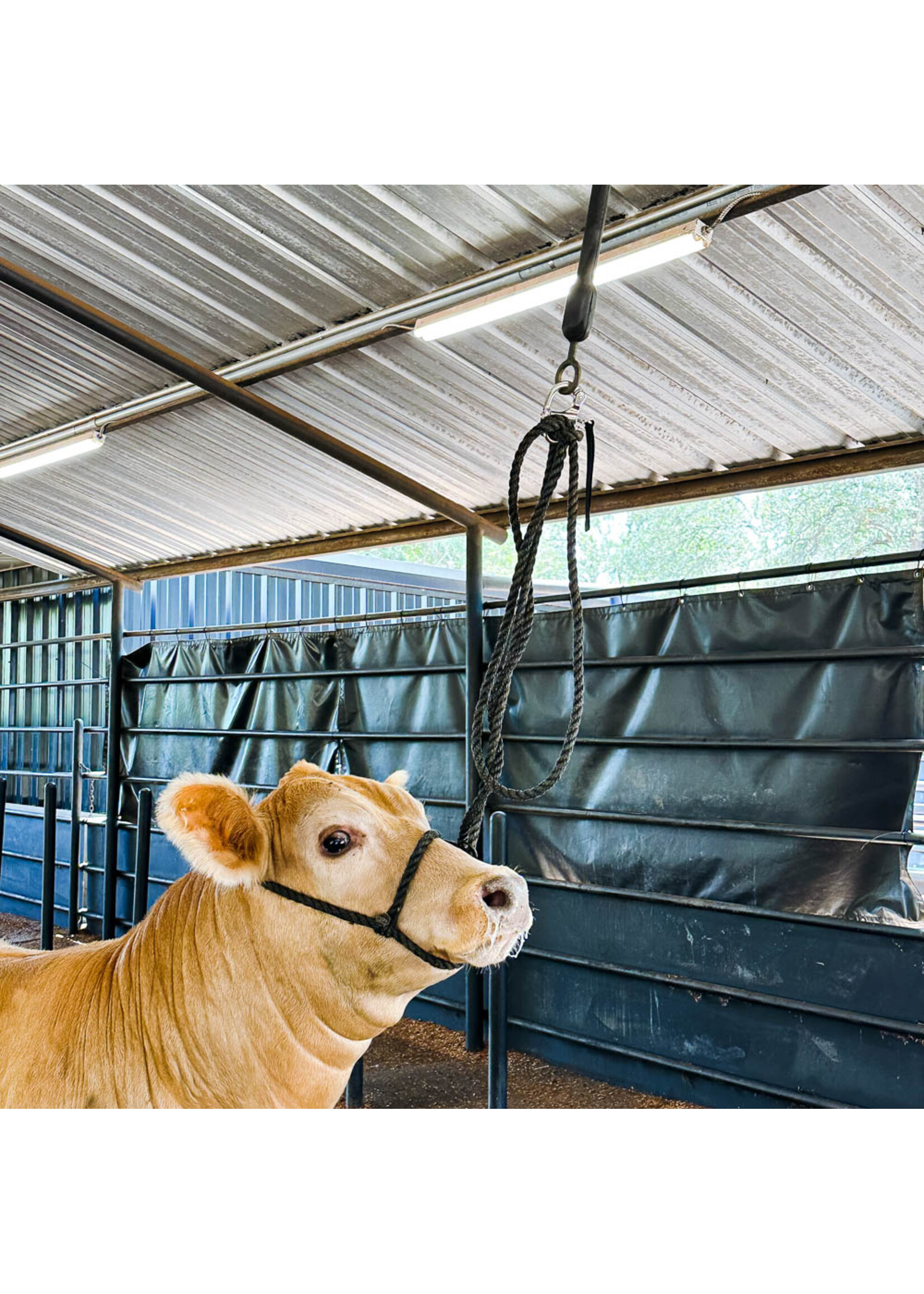 Stock Up Supply Stock Up Supply Big Bungee w/ Quick Release