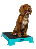 Cato Board Cato Board Dog Training Platform w/Rubber 24"L x 16"W x 3.5"H