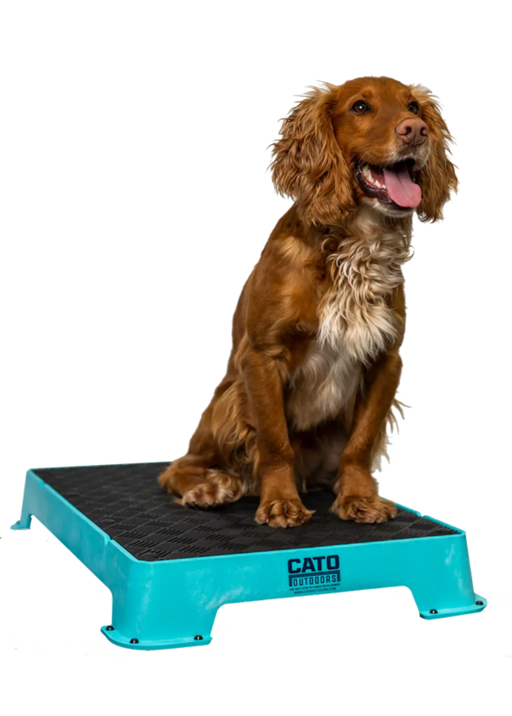 Cato Board Cato Board Dog Training Platform w/Rubber 24"L x 16"W x 3.5"H