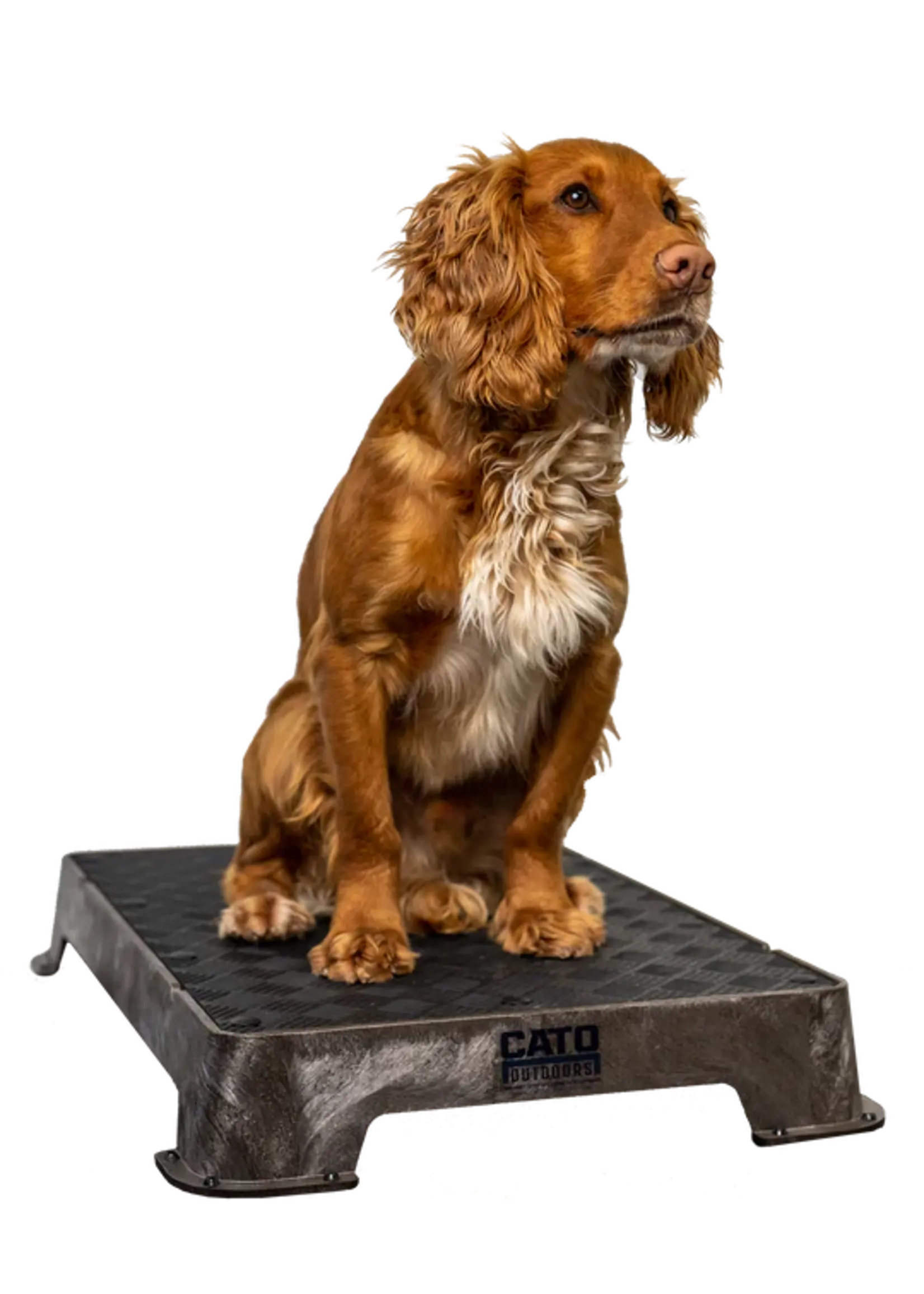Cato Board Cato Board Dog Training Platform w/Rubber 24"L x 16"W x 3.5"H