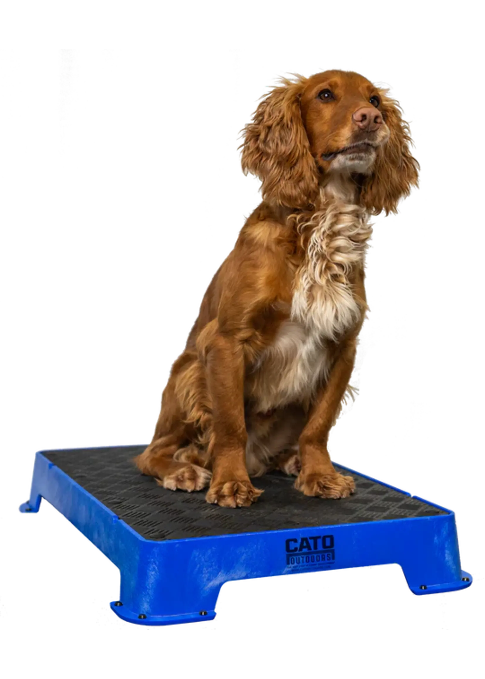 Cato Board Cato Board Dog Training Platform w/Rubber 24"L x 16"W x 3.5"H
