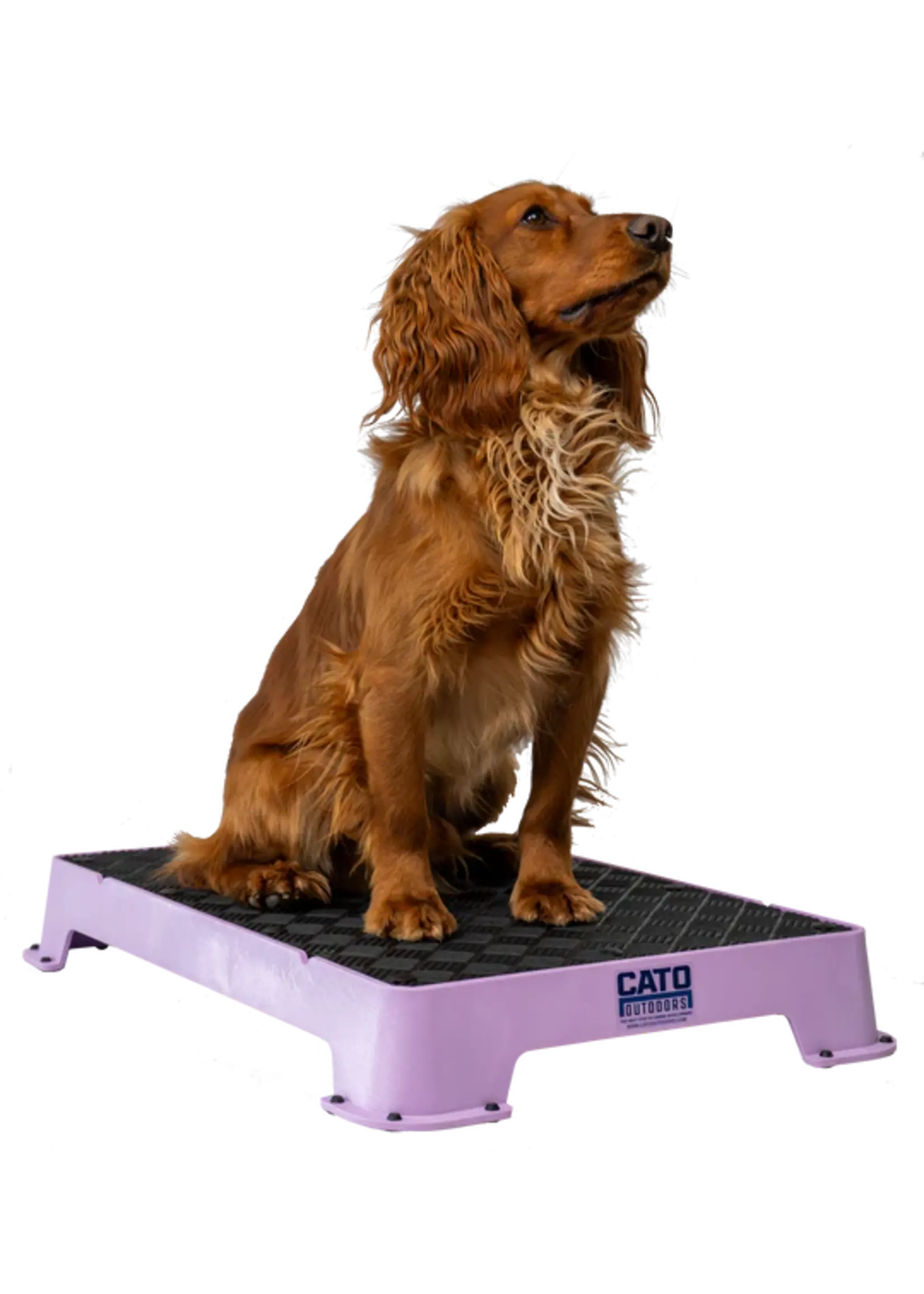 Cato Board Cato Board Dog Training Platform w/Rubber 24"L x 16"W x 3.5"H