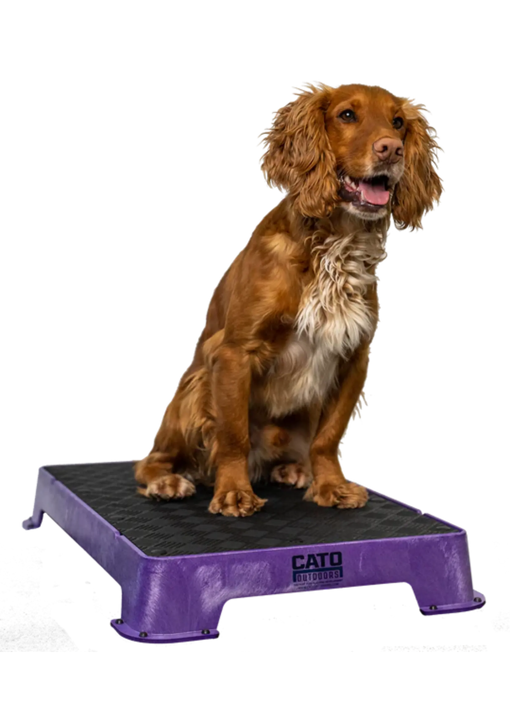 Cato Board Cato Board Dog Training Platform w/Rubber 24"L x 16"W x 3.5"H