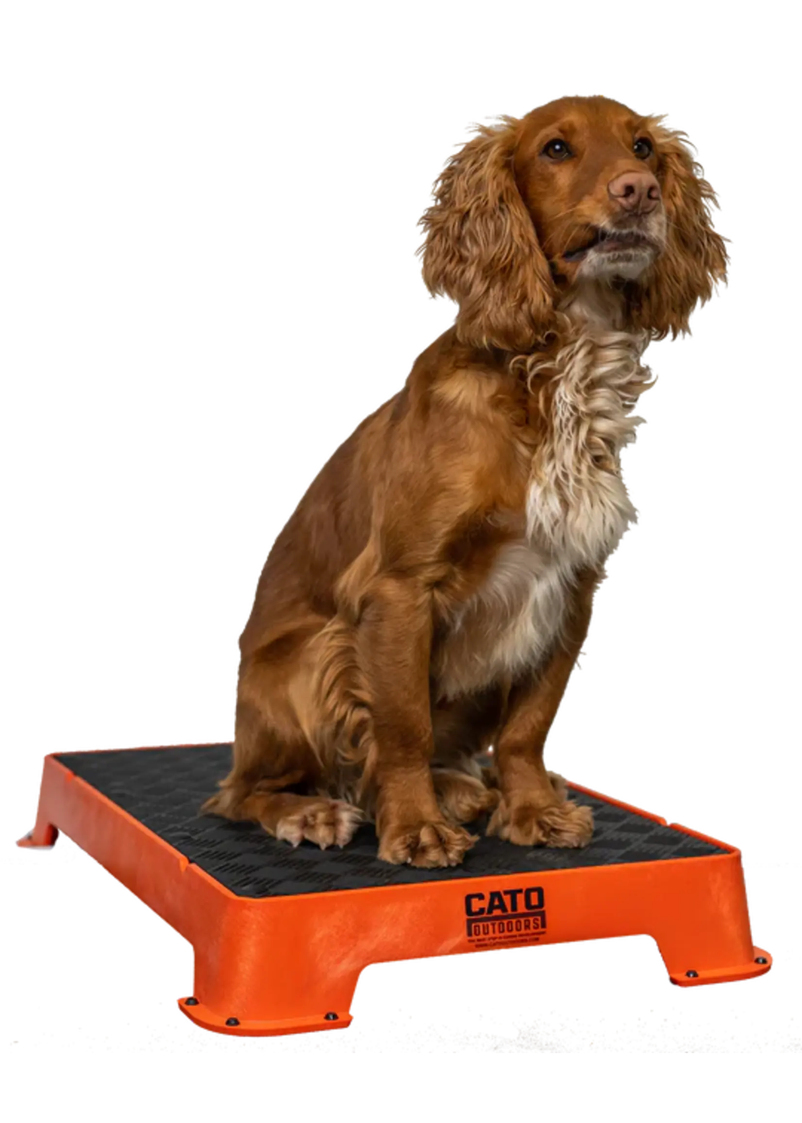 Cato Board Cato Board Dog Training Platform w/Rubber 24"L x 16"W x 3.5"H