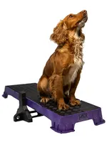 Cato Board Cato Plank XLarge Platform Rubber 36" L x 12" W x 3.5" H No Tilt