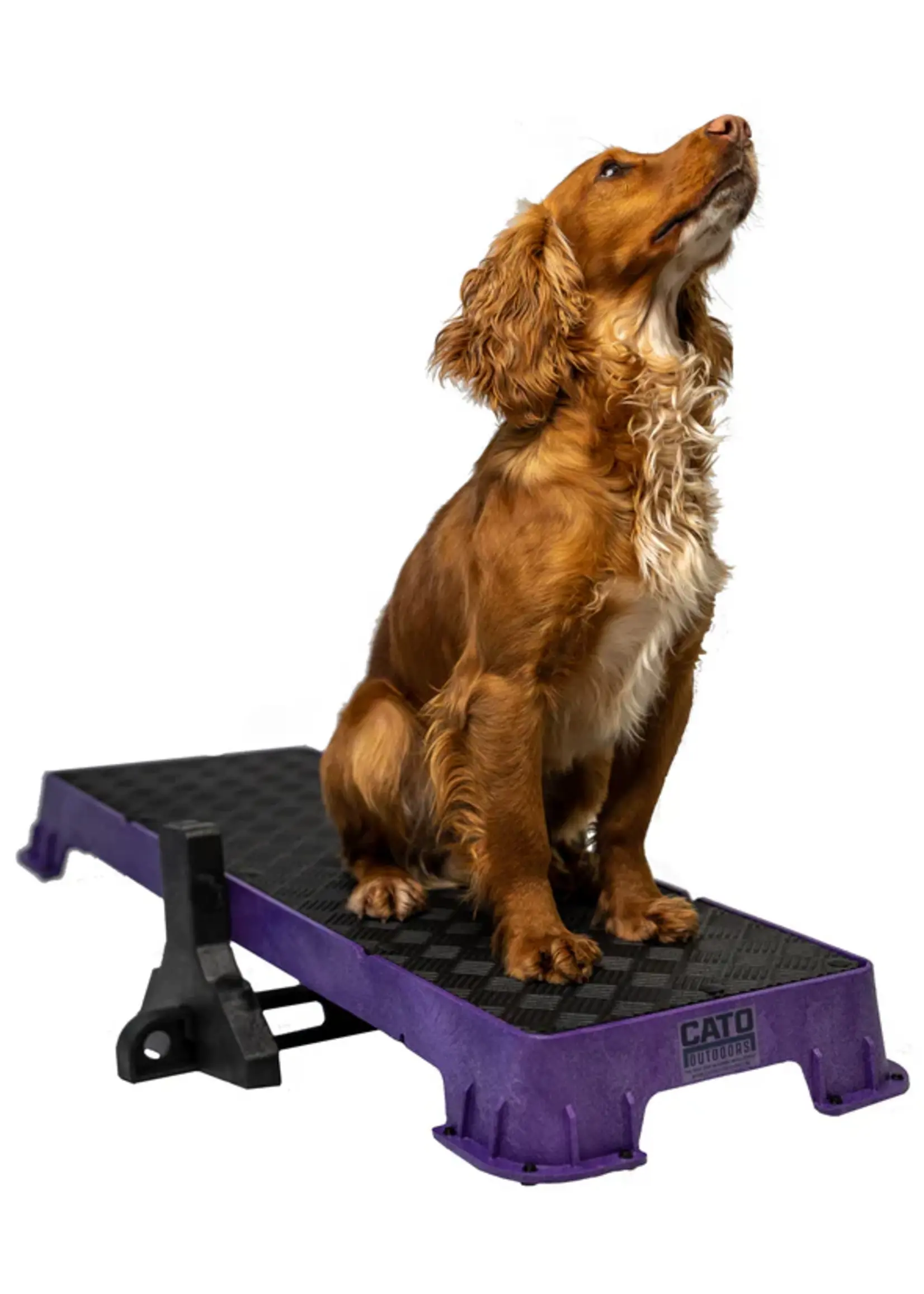 Cato Board Cato Plank XLarge Platform Rubber 36" L x 12" W x 3.5" H No Tilt