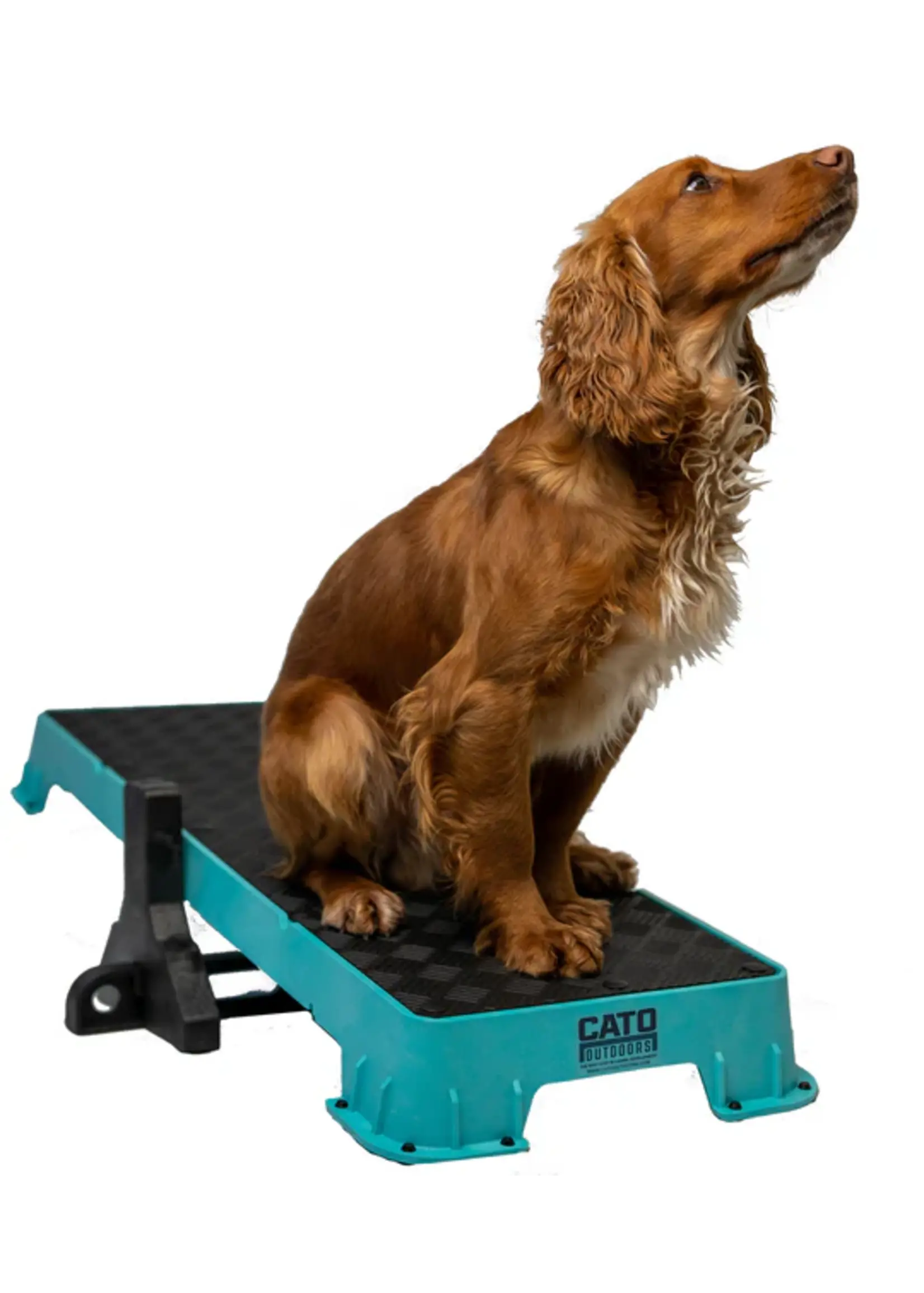Cato Board Cato Plank XLarge Platform Rubber 36" L x 12" W x 3.5" H No Tilt