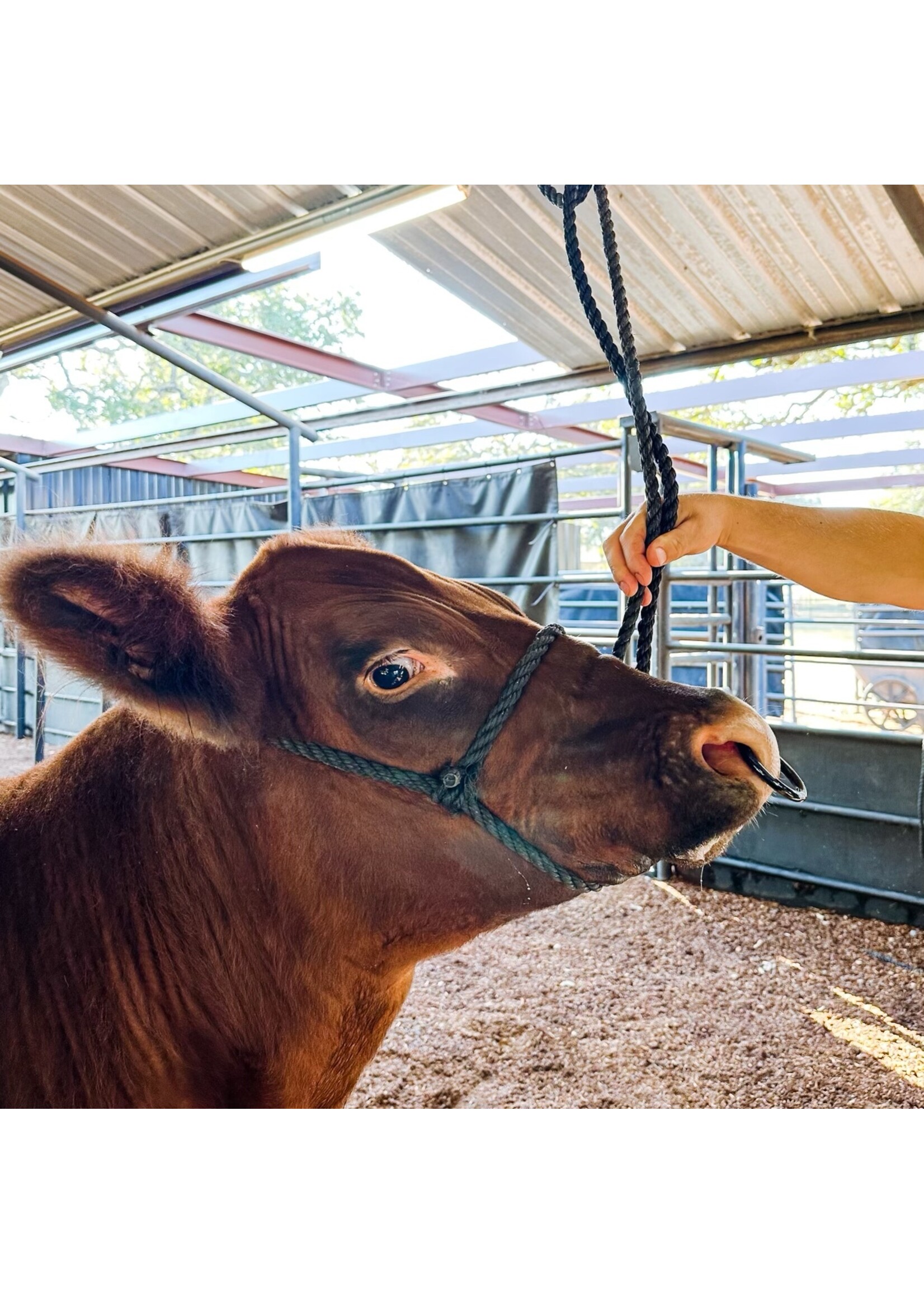 Stock Up Supply Stock Up Supply Black Nose Ring 2.5"