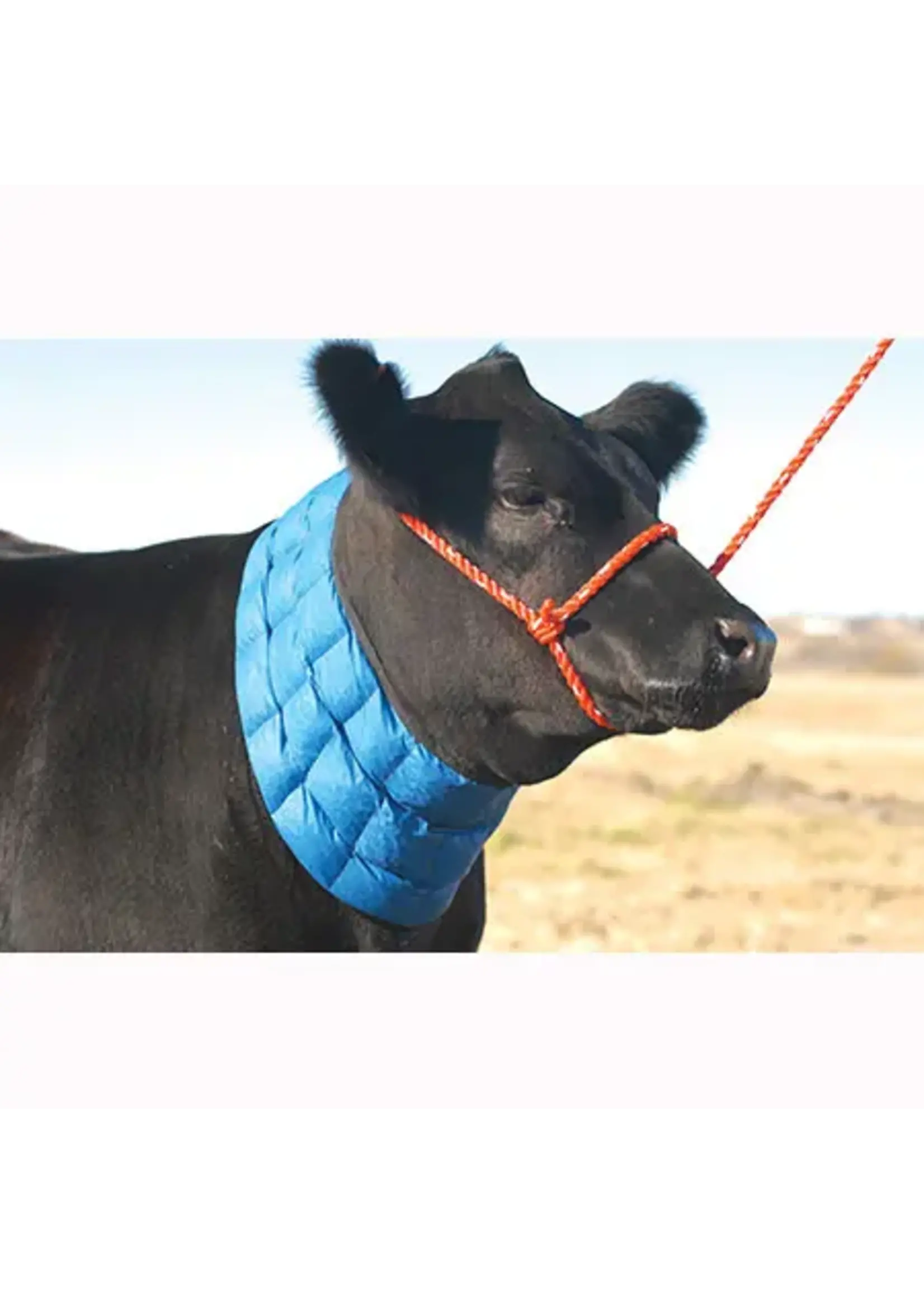 Sullivan Supply Sullivan Supply Arctic Ice Pack for Cattle