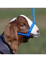 Sullivan Supply Sullivan Supply Soft Braid Sheep/Goat Halter