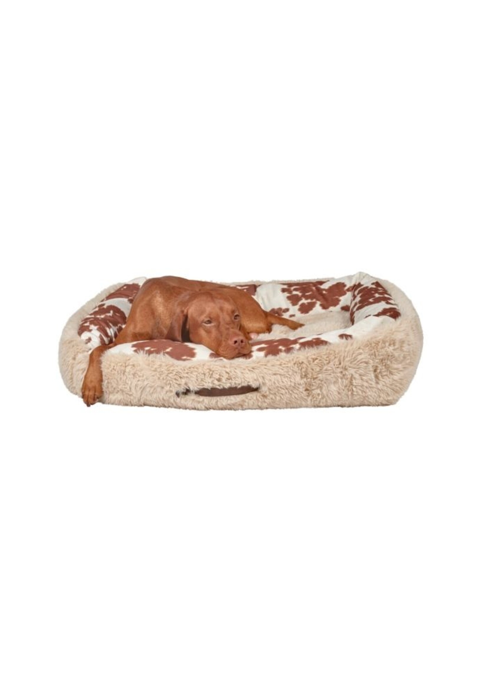 Bowsers Pet Products Bowsers The Dude