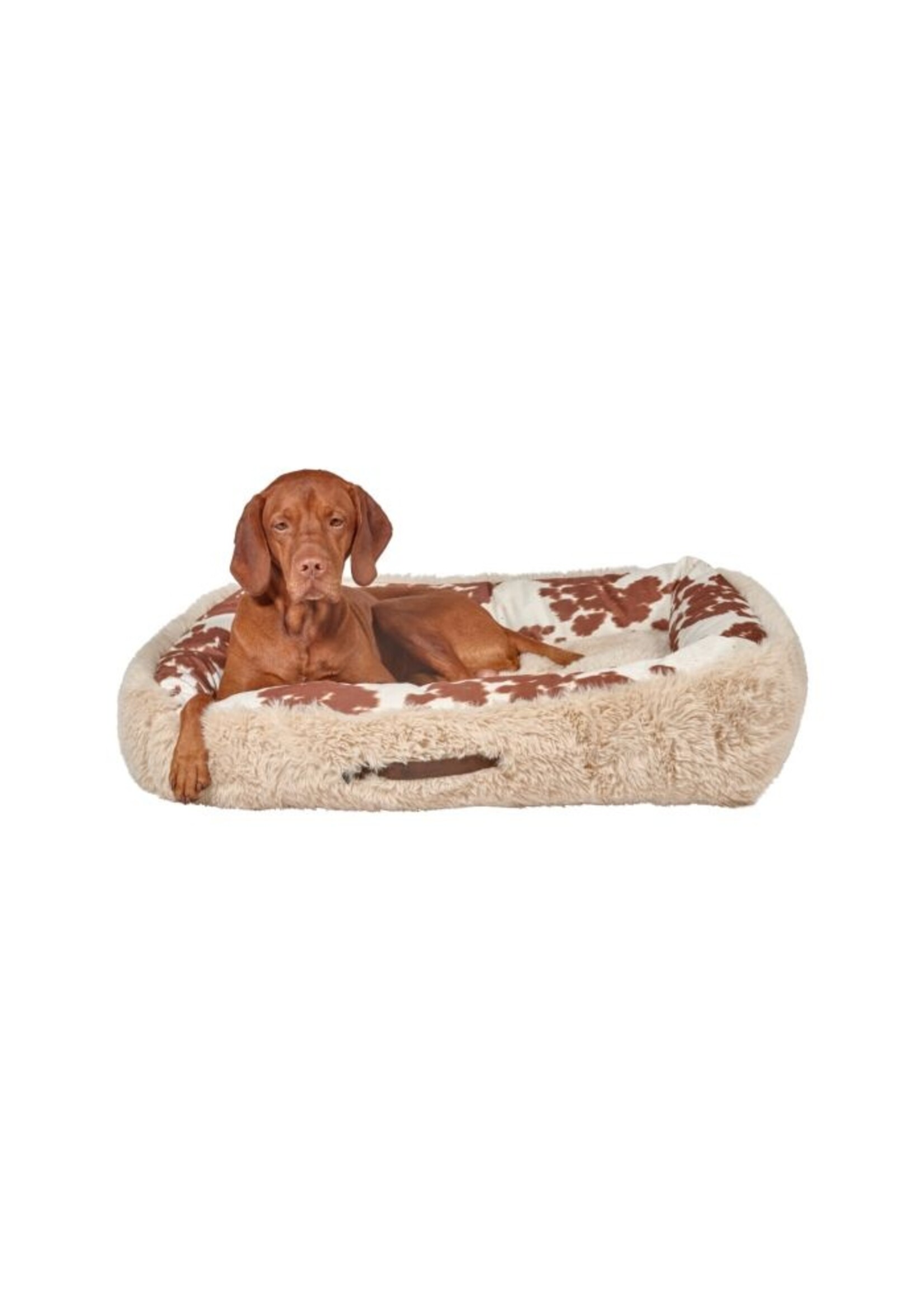Bowsers Pet Products Bowsers The Dude