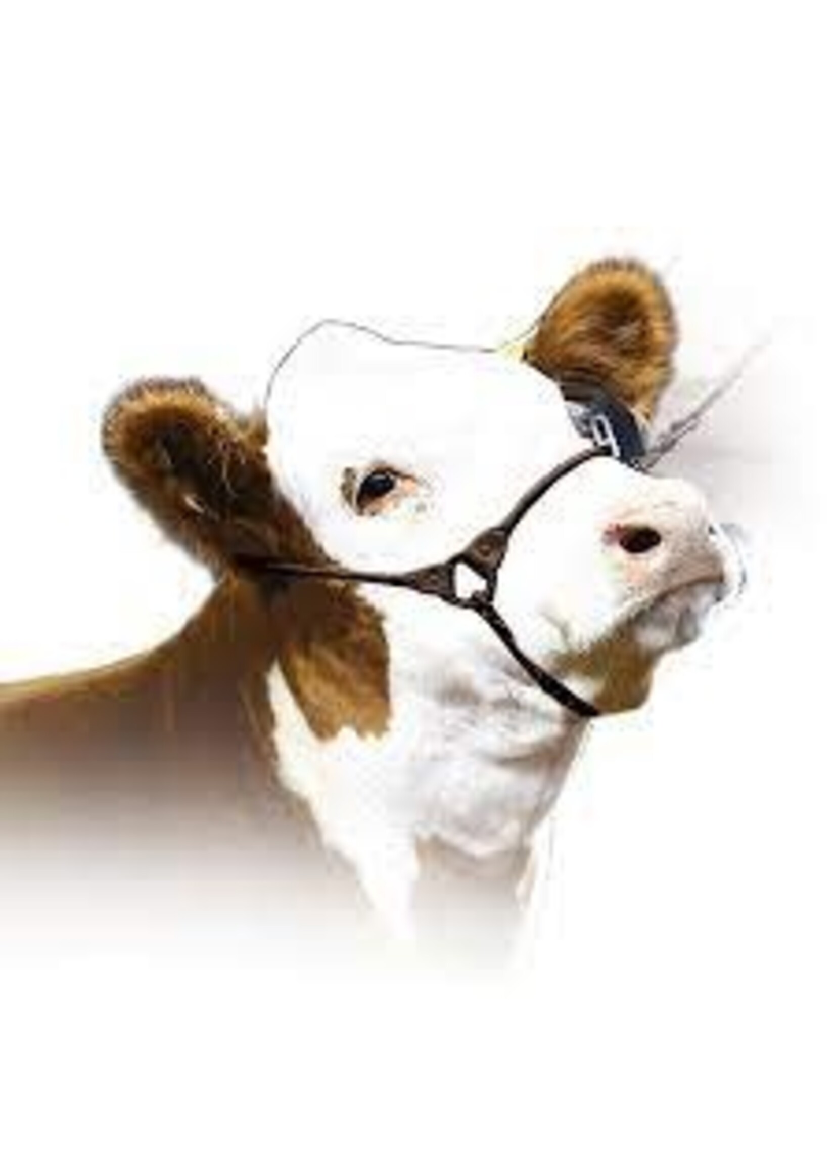 Sullivan Supply Sullivans Incognito Show Halter