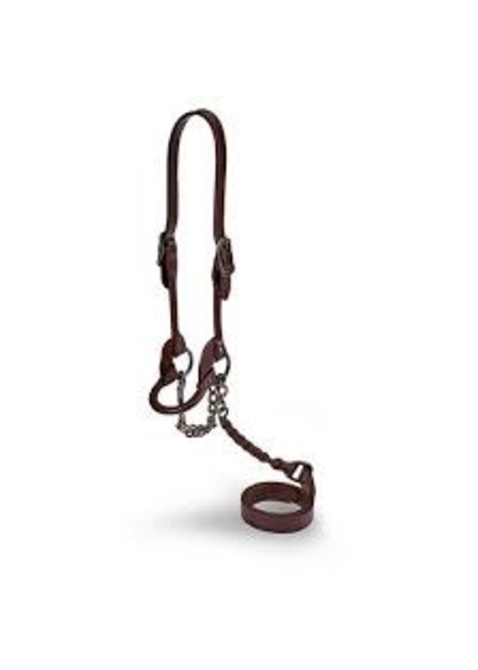 Sullivan Supply Sullivan Supply 1st Class Show Halter