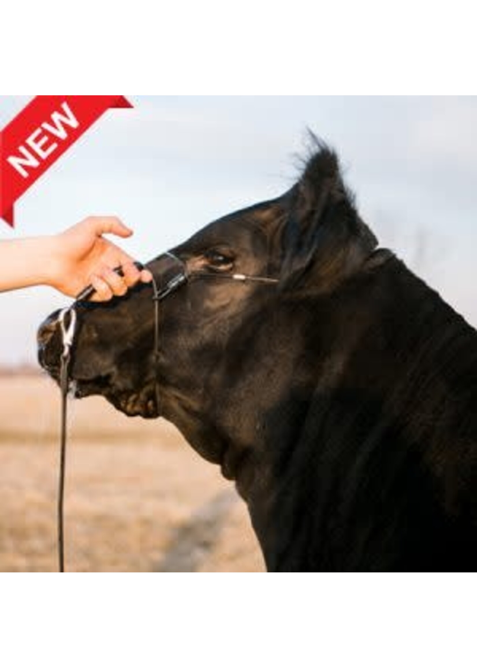 Sullivan Supply Sullivan Supply 2.0 Phantom Cattle Cable Halter w/Ghost Grip