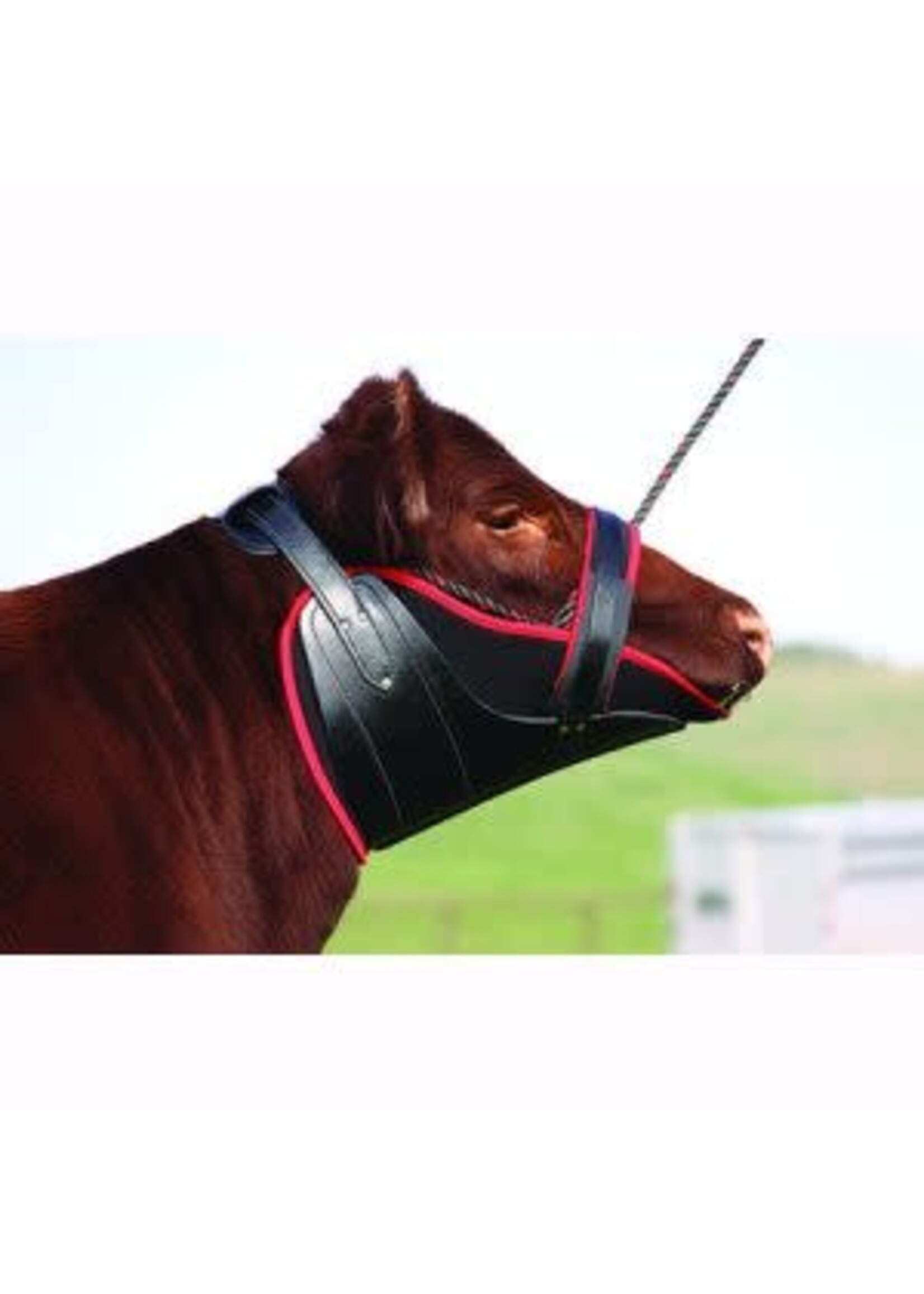 Sullivan Supply Sullivans Hybrid Heat Neck Sweat w/Chafing Pad