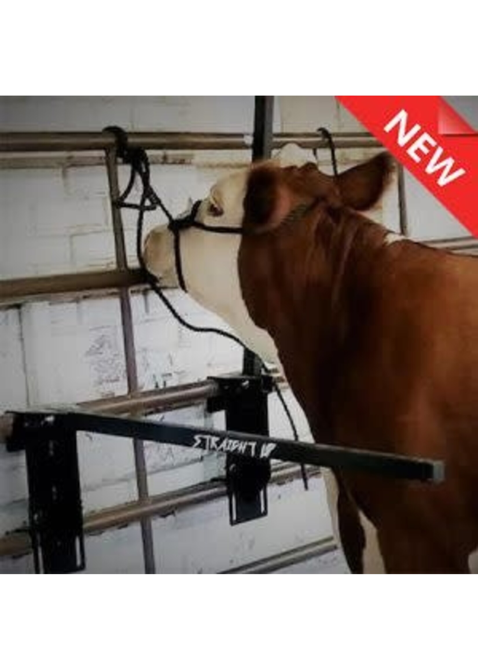 Sullivan Supply Sullivan Supply Straight Up Bars (Set of 2) Black