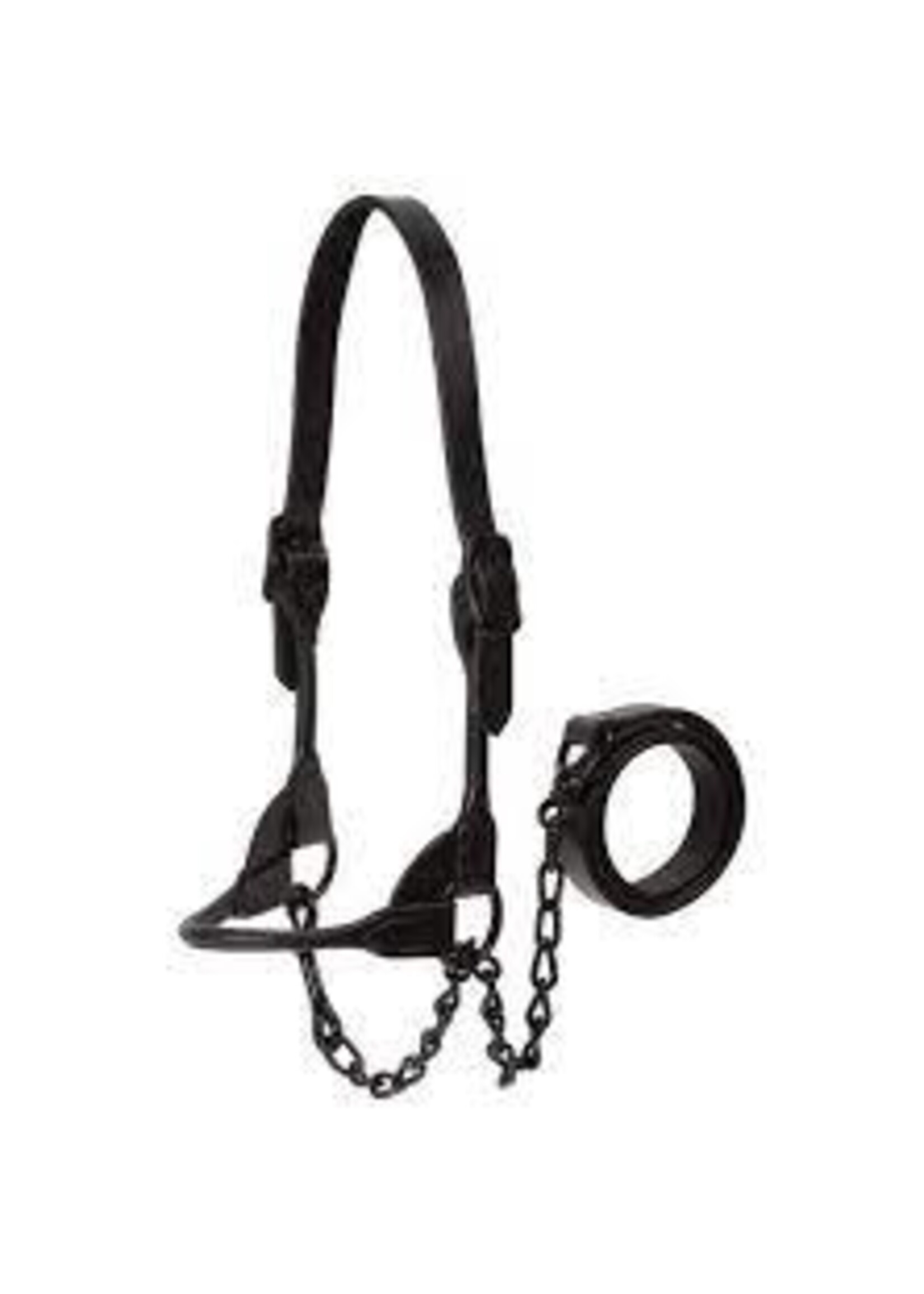 Weaver Livestock Weaver Livestock Black Magic Show Halter Black