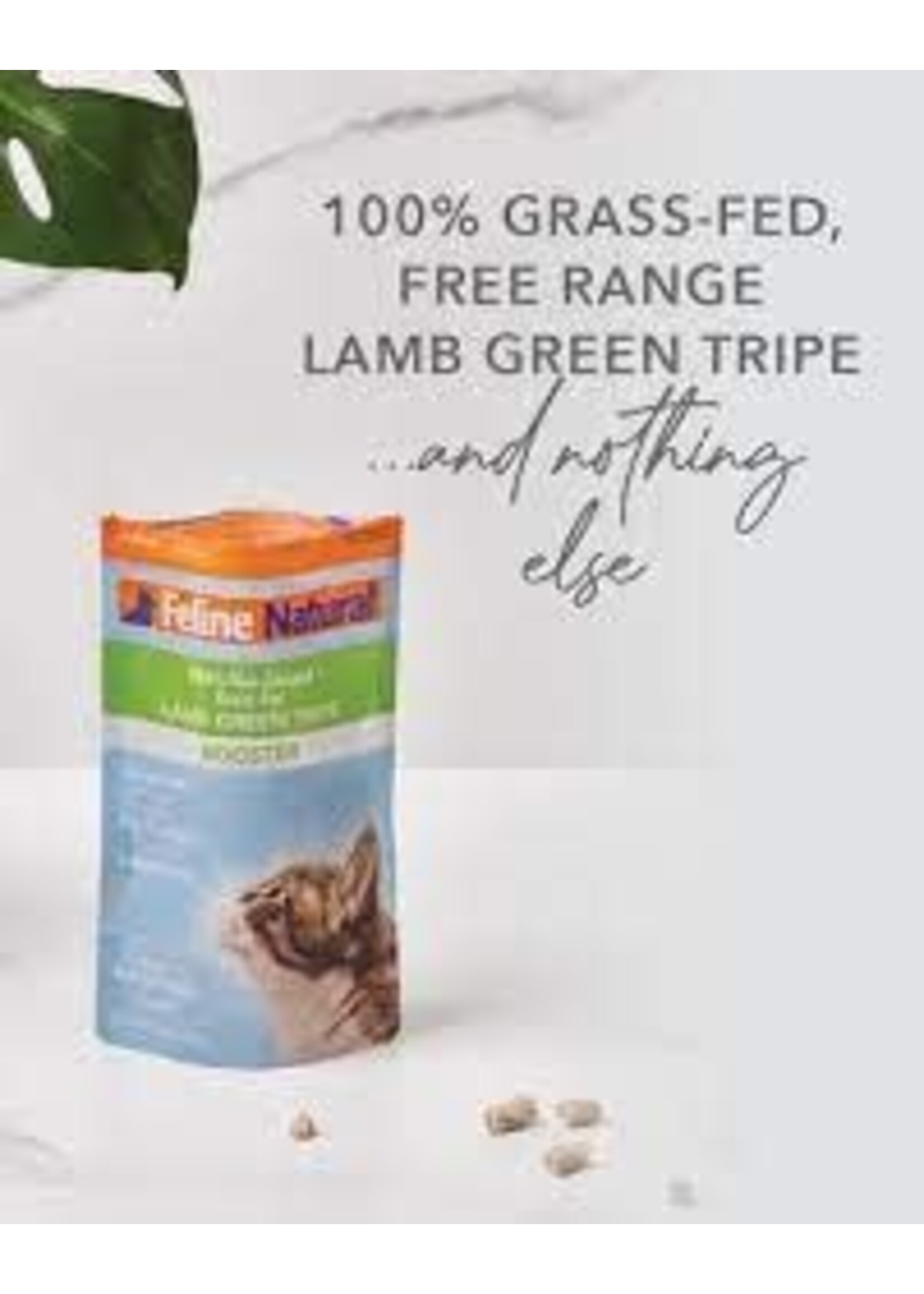 Feline Natural Feline Natural Lamb Green Tripe Booster 57g