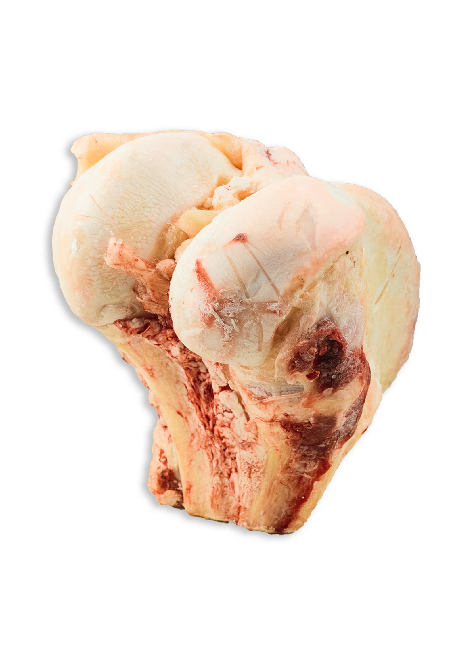 K9 Choice Foods K9 Choice Buffalo Knuckle Bone Individual