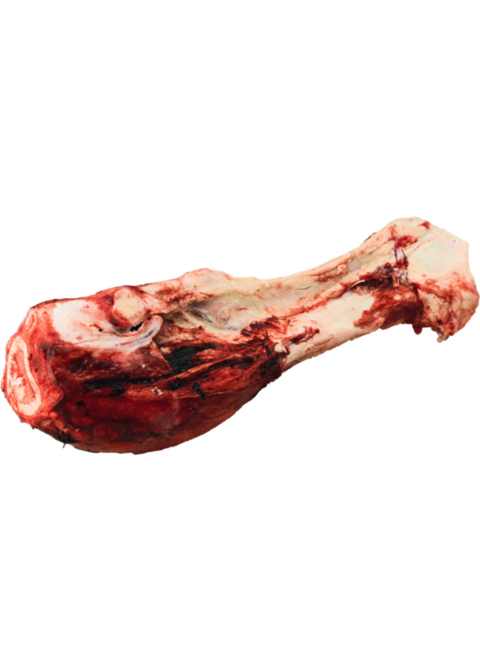 K9 Choice Foods K9 Choice Whole Dino Bone Individual