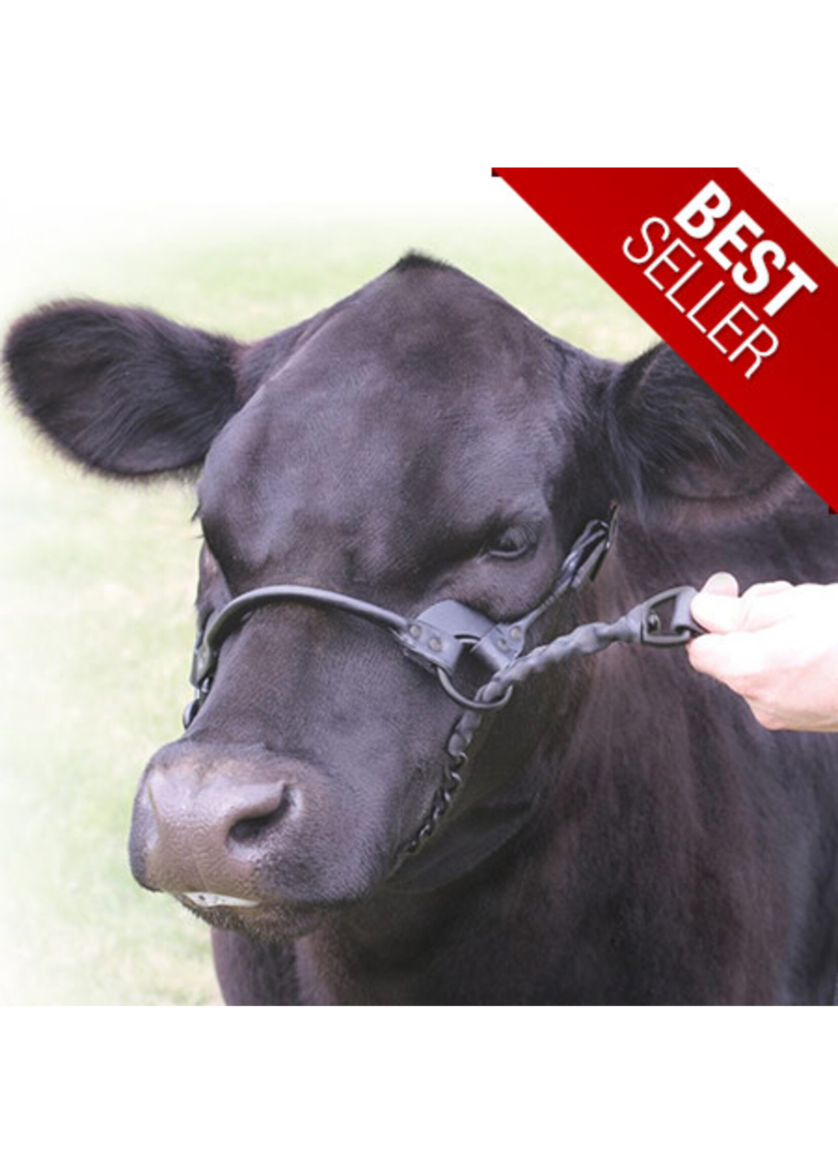 Sullivan Supply Sullivan Supply 1st Class Show Halter